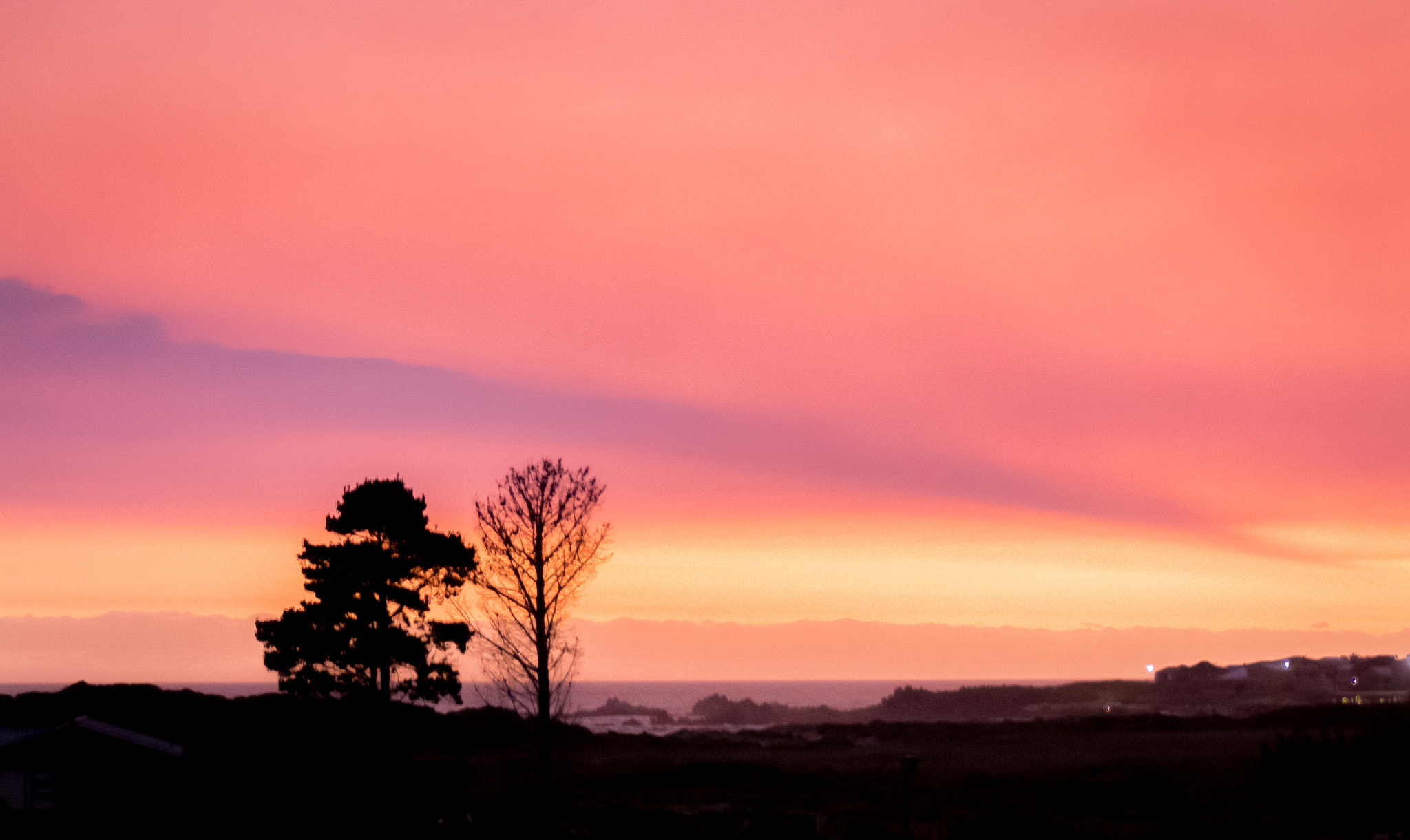 Sigma 18-250mm F3.5-6.3 DC OS HSM sample photo. Sunset silhouette photography