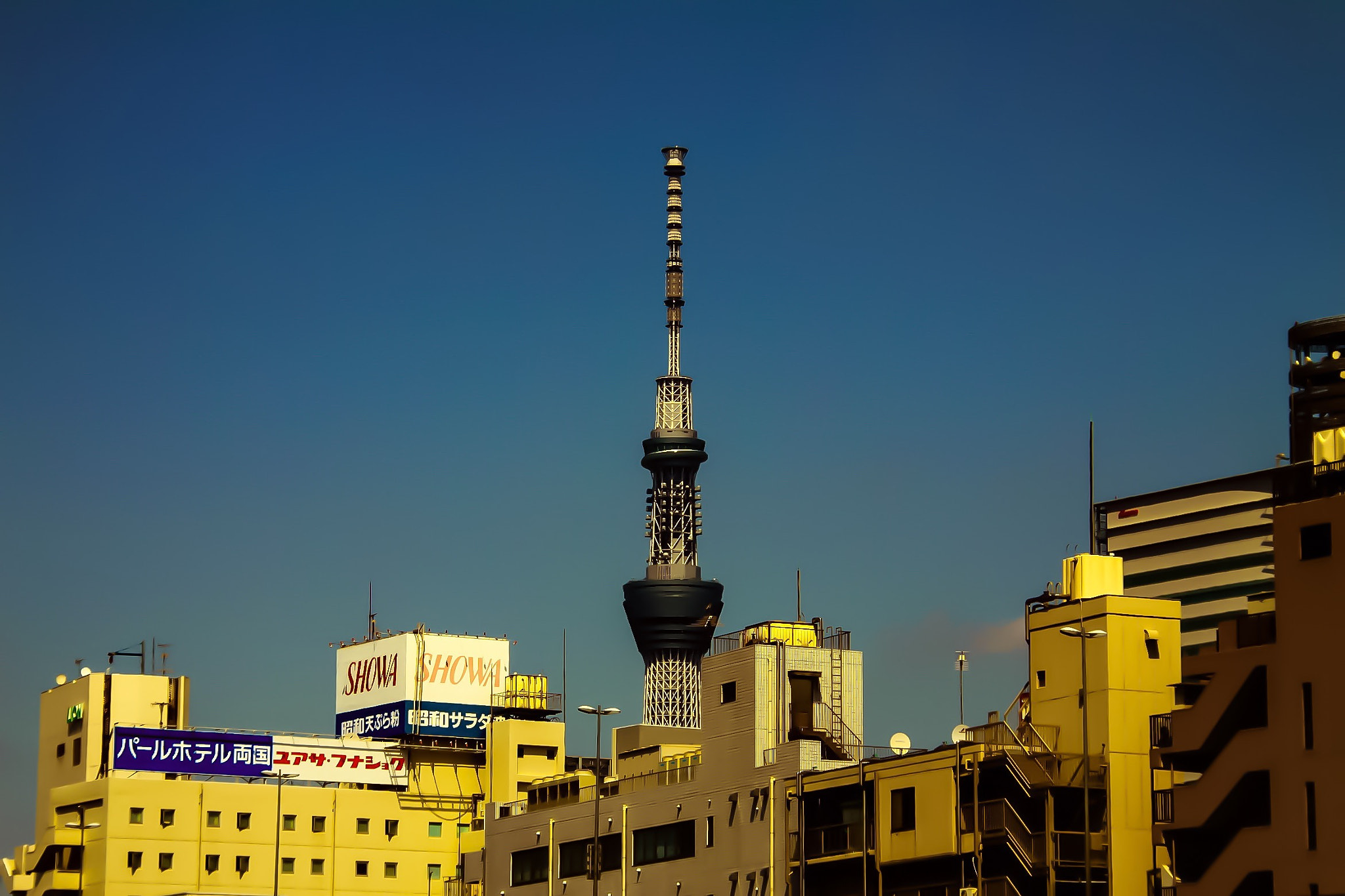 Sigma 18-200mm f/3.5-6.3 DC OS sample photo. Skytree photography