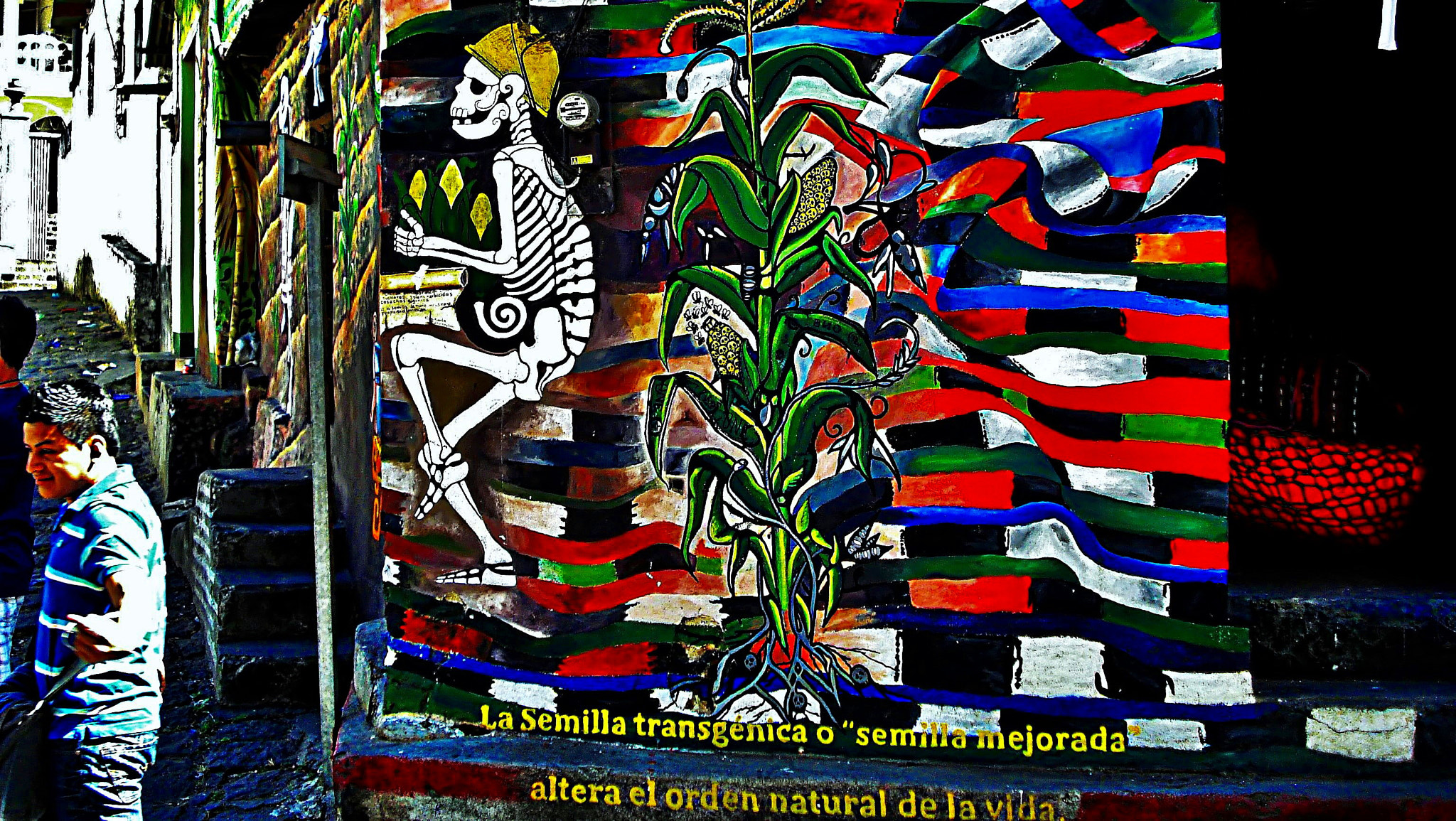 Sony DSC-W70 sample photo. Graffiti san pedro -la laguna( guatemala) photography