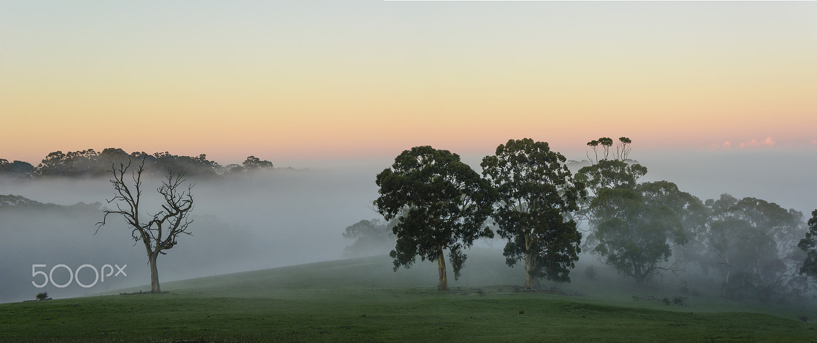 Nikon D7100 + Nikon AF-S DX Nikkor 18-55mm F3.5-5.6G II sample photo. Cold misty morning as the sun is rising photography