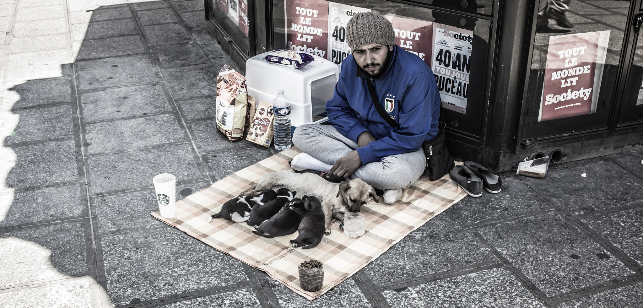 Canon EF-S 24mm F2.8 STM sample photo. Puppies photography