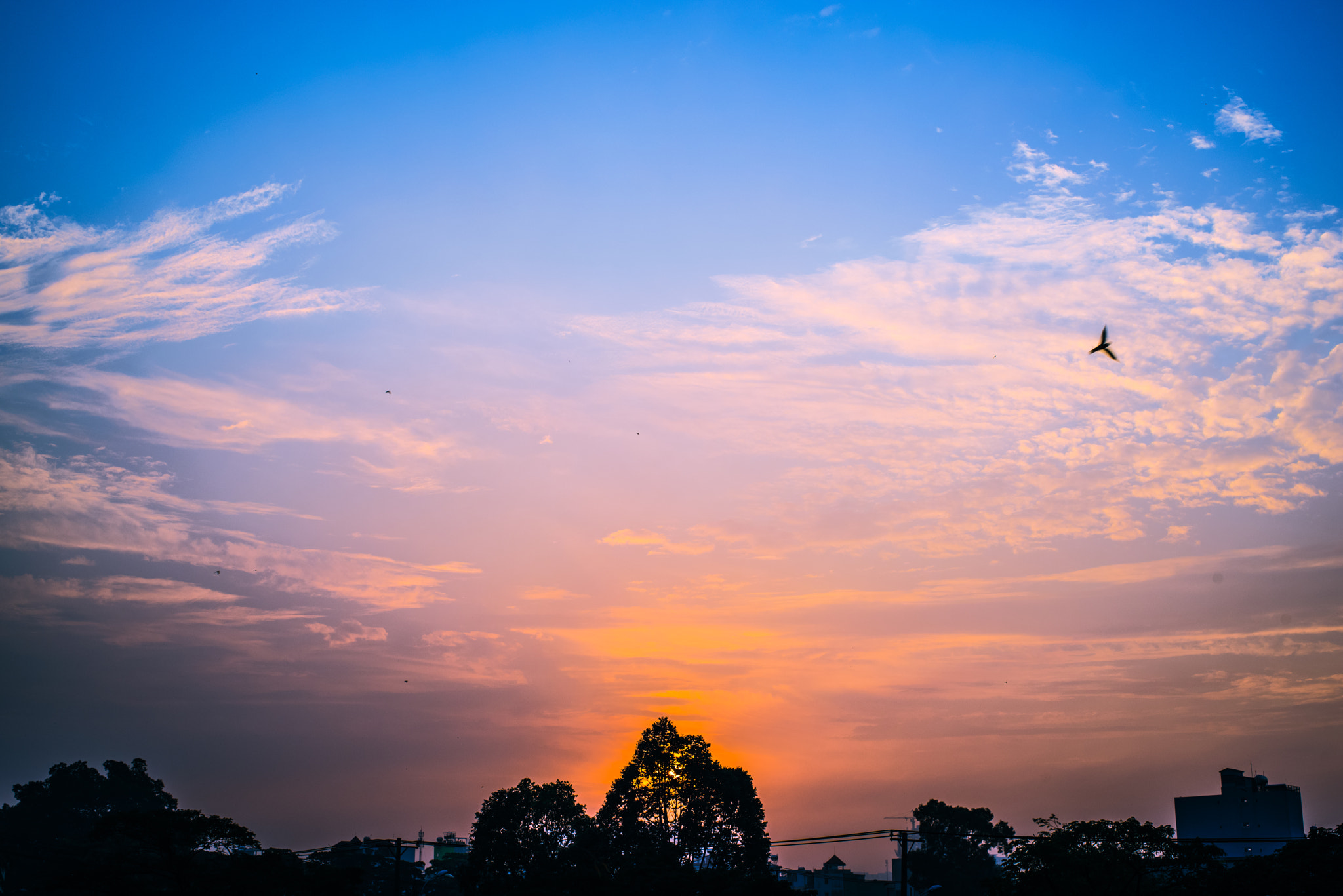 Pentax K-1 sample photo. Sunrise photography