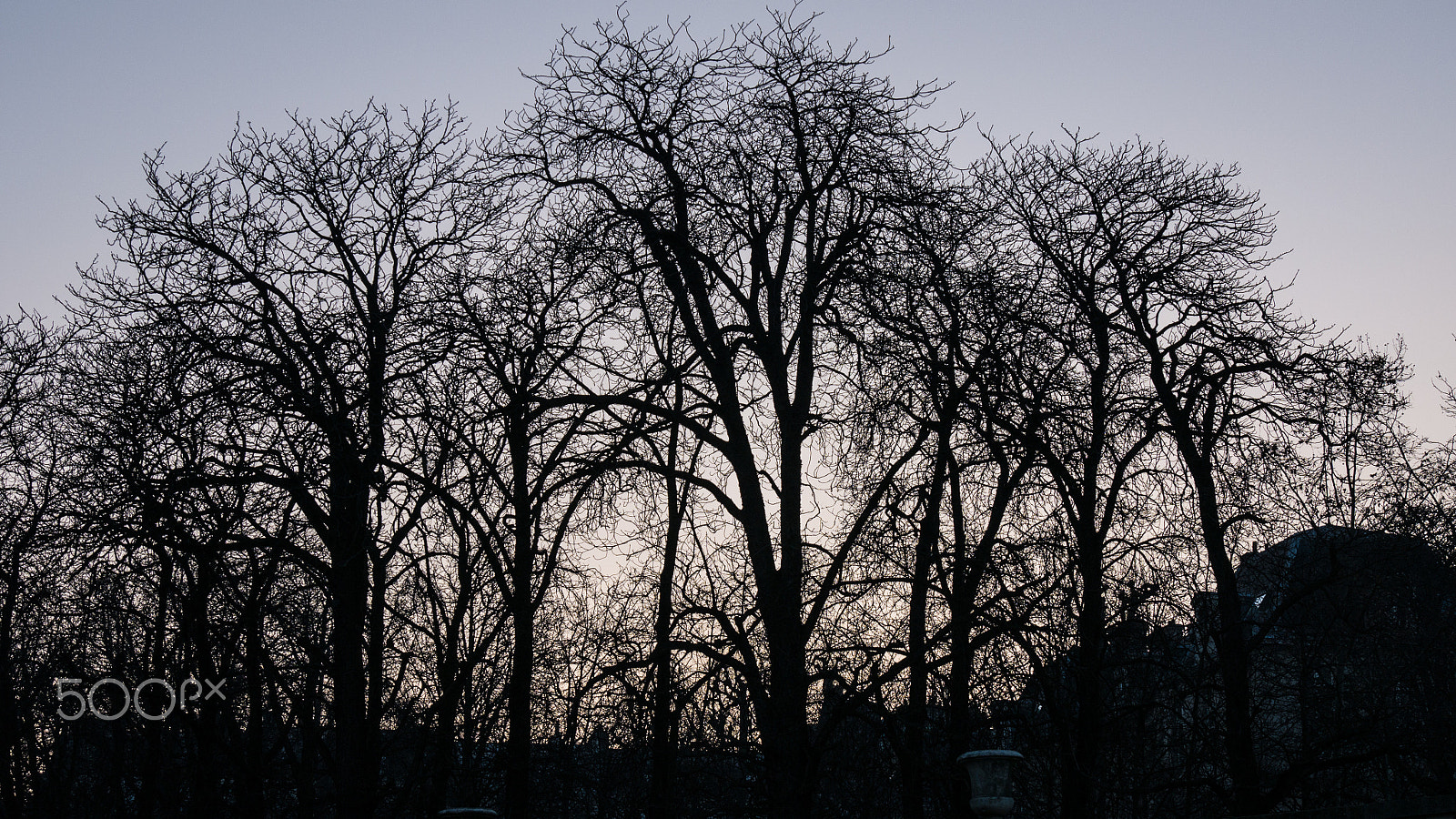 Panasonic Lumix DMC-G7 sample photo. Paris vi photography