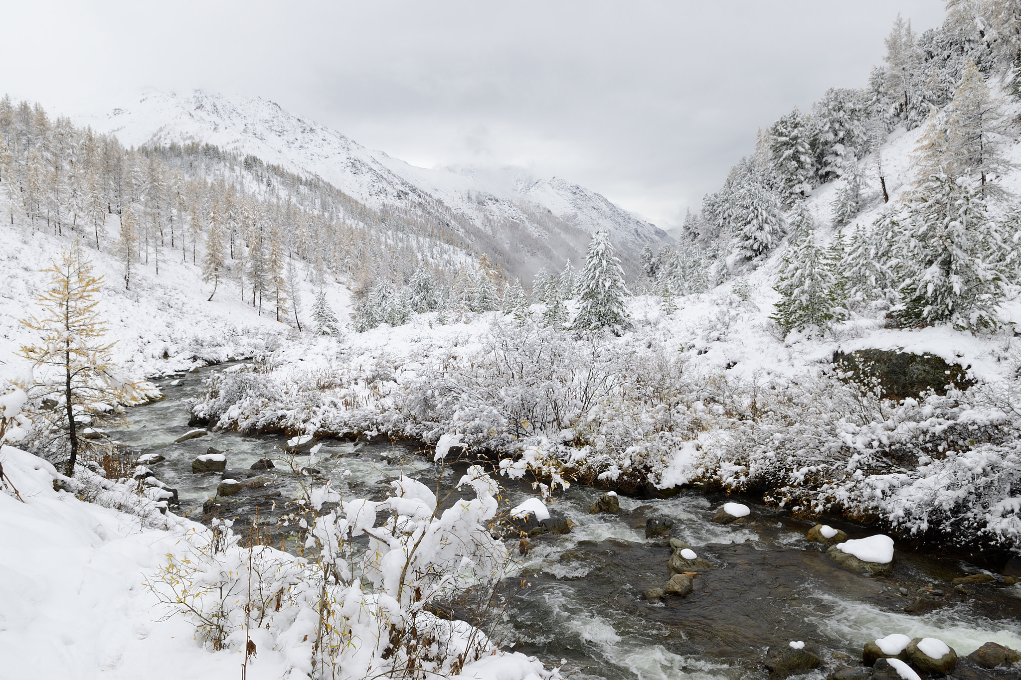Nikon D800 + Nikon AF-S DX Nikkor 17-55mm F2.8G ED-IF sample photo. The off-season in the altai mountains photography