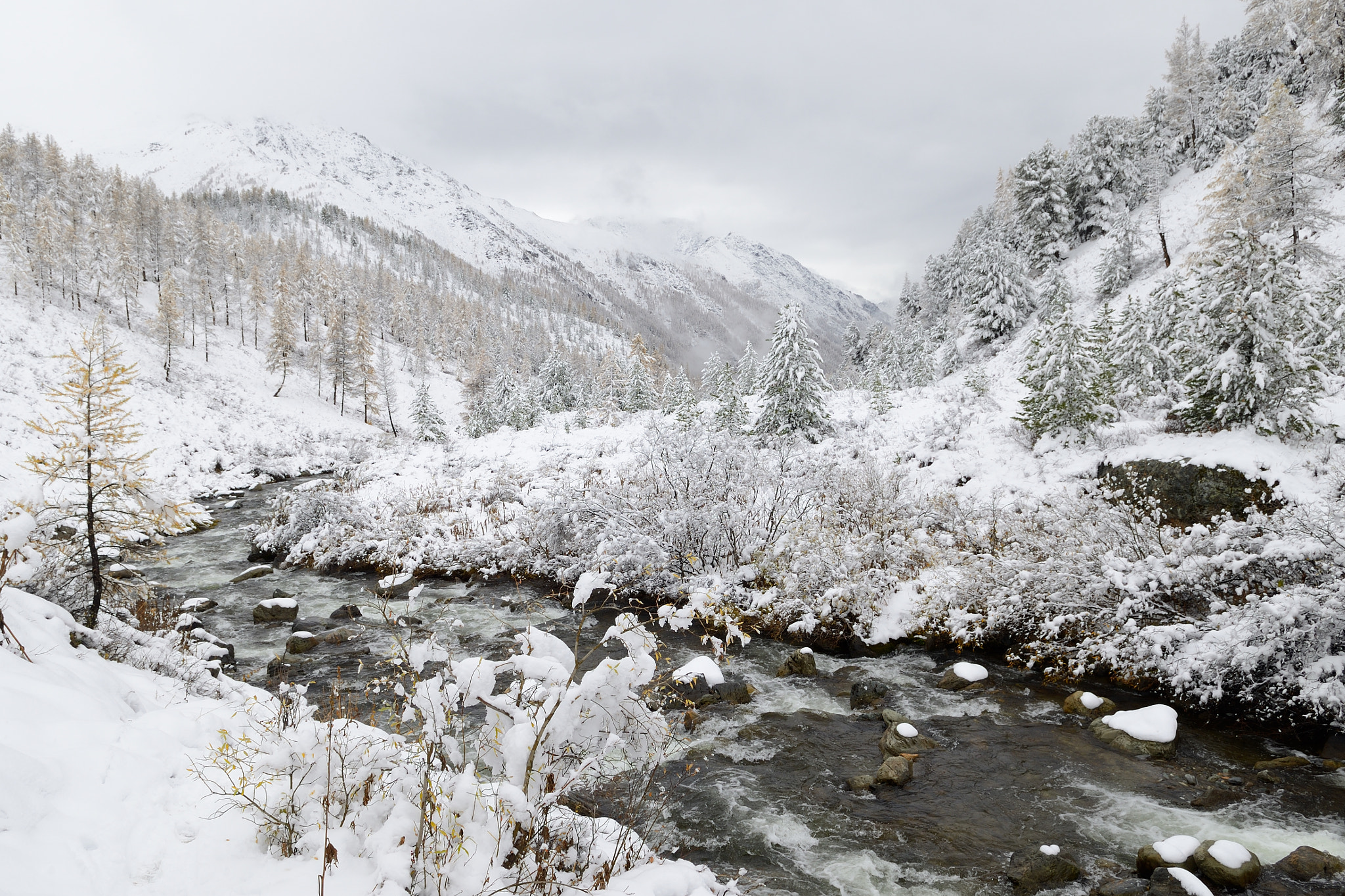 Nikon D800 sample photo. The off-season in the altai mountains photography