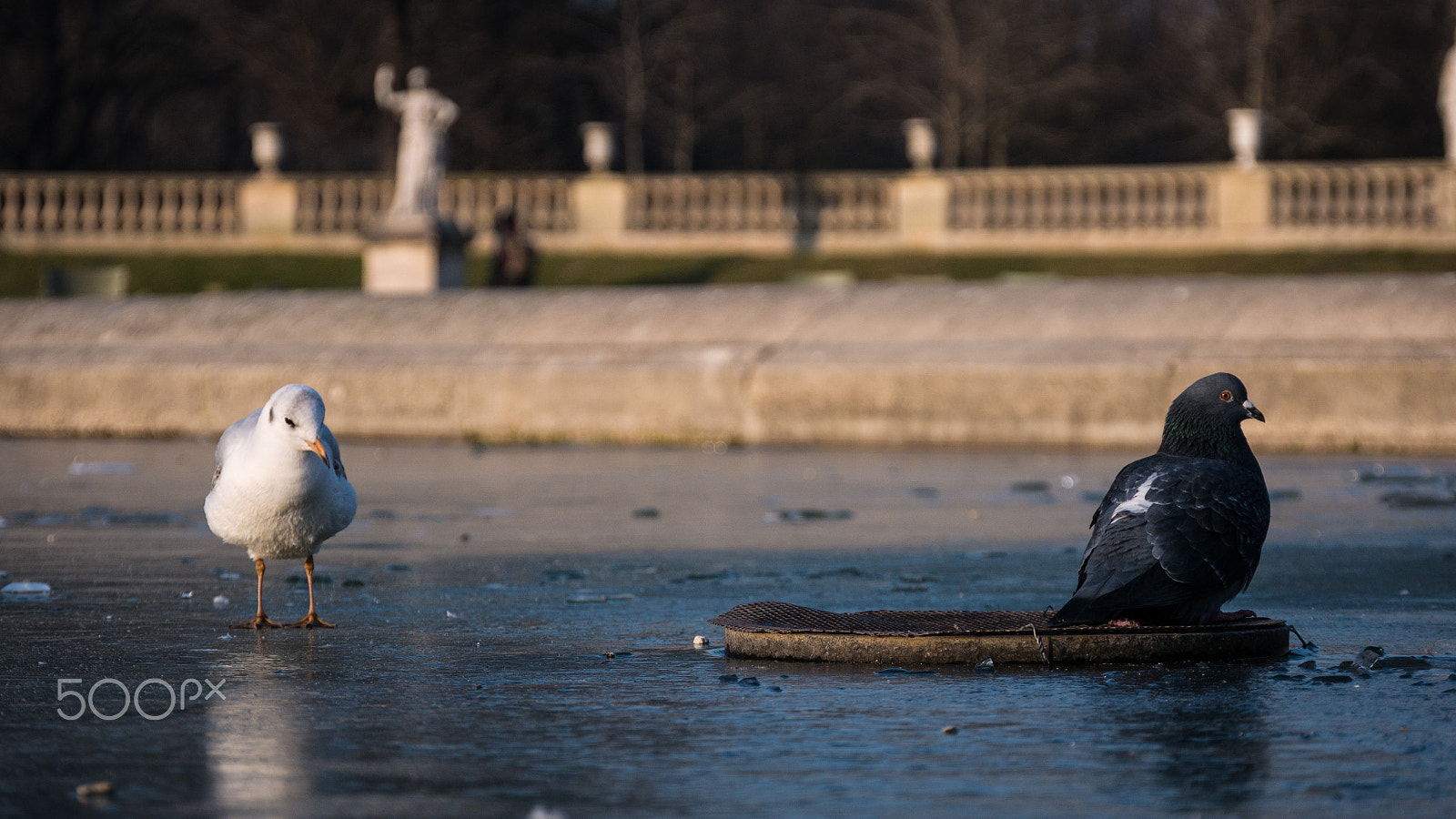 Panasonic Lumix DMC-G7 sample photo. Paris vi photography