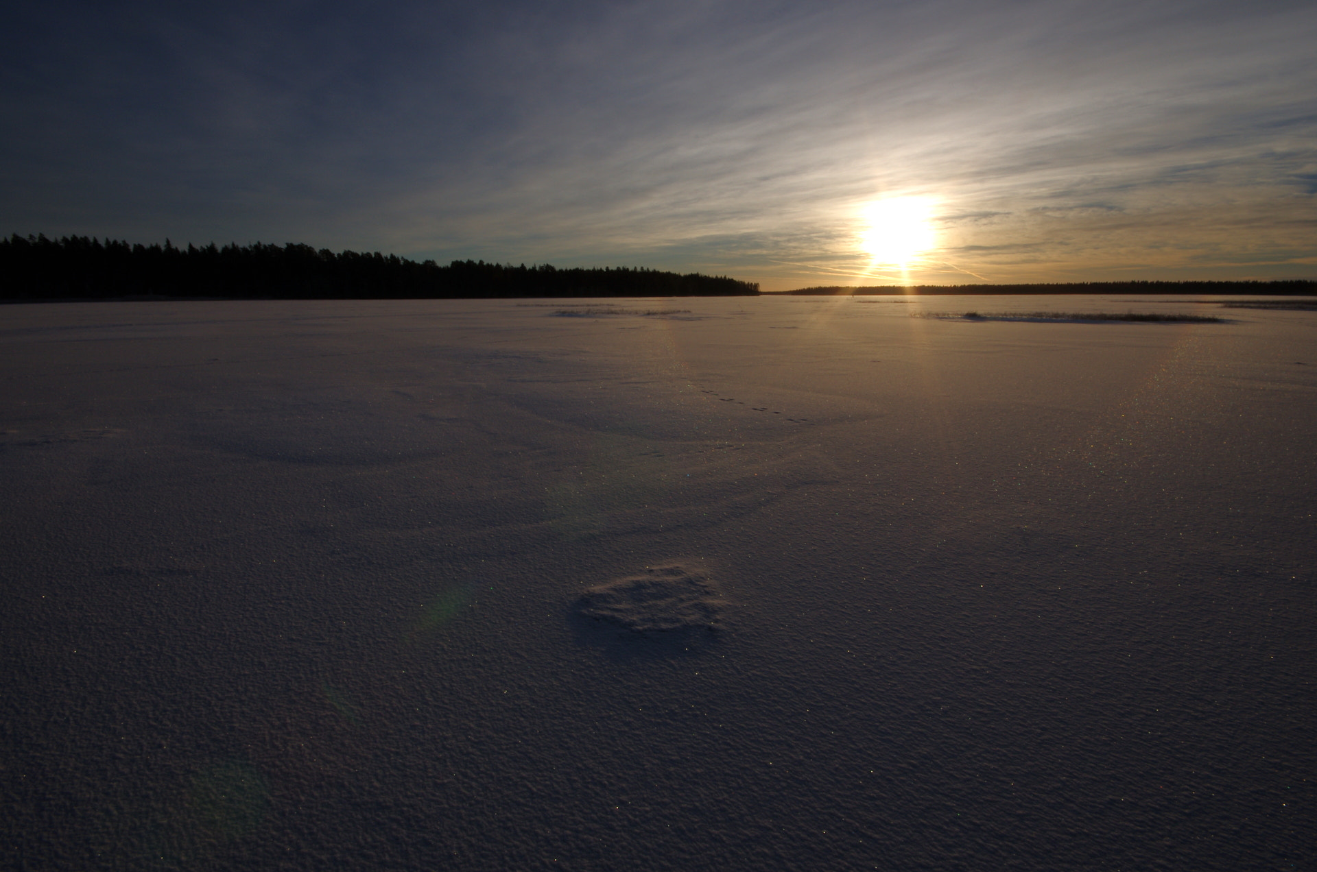 Pentax K-5 II sample photo. Glistening photography