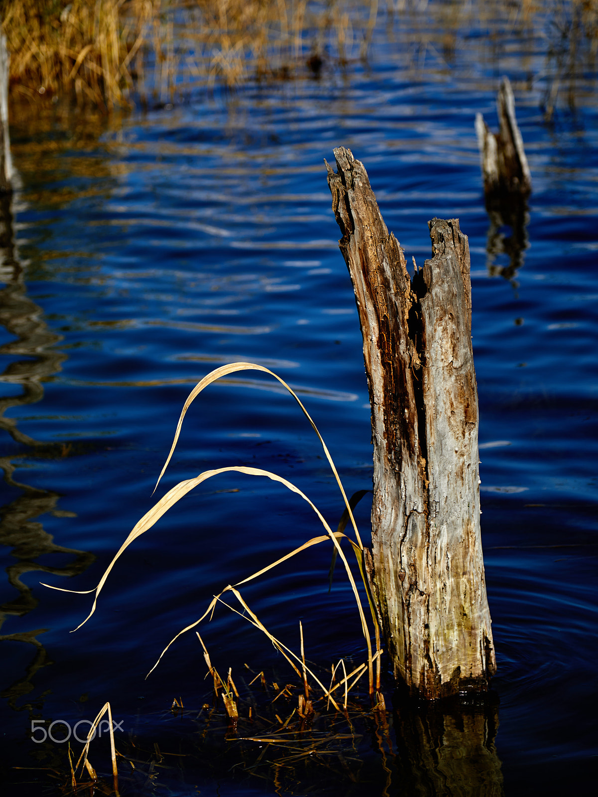 Canon EF 24-105mm F4L IS USM sample photo. Blue water at the lake of erhai photography