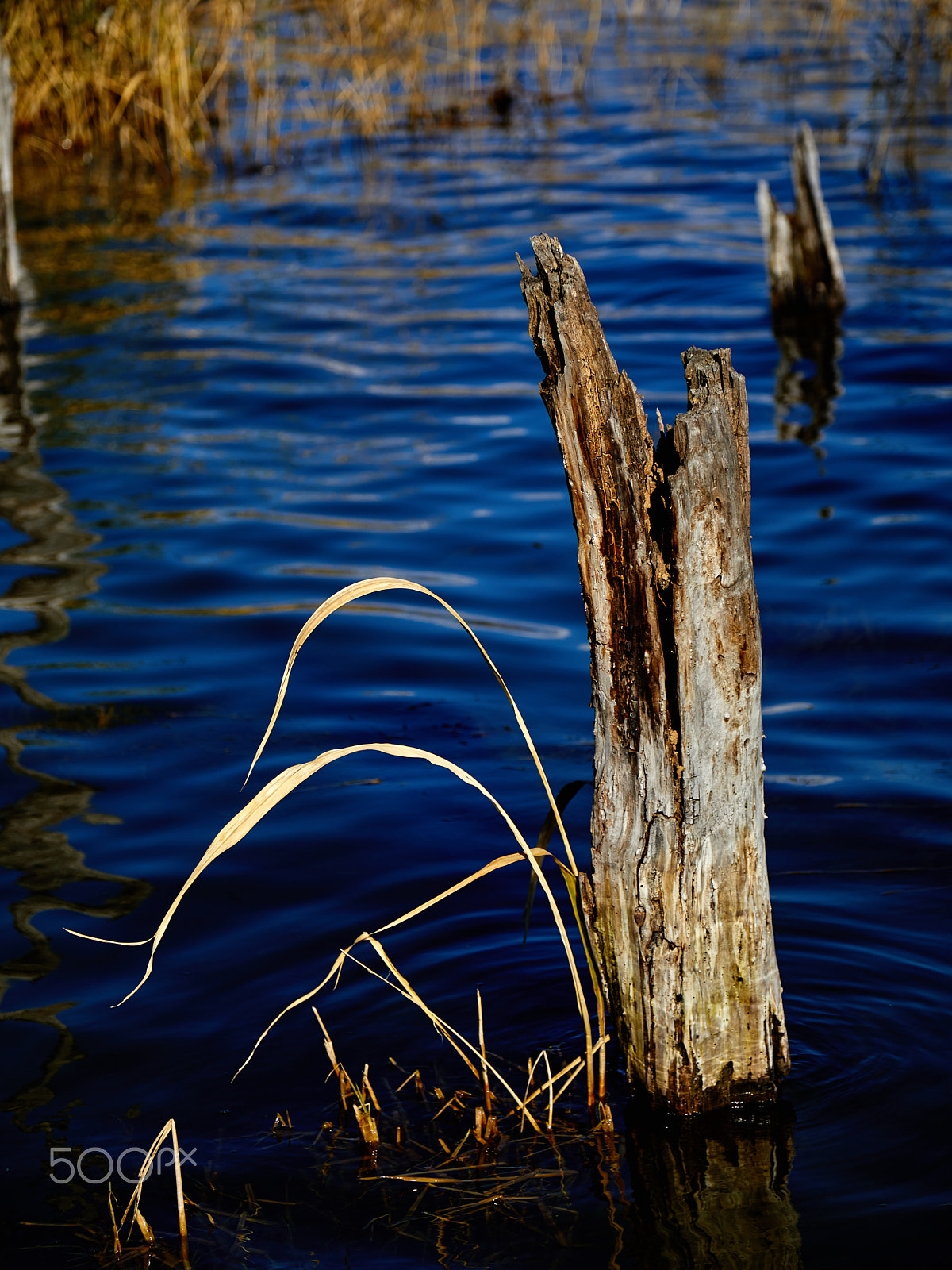 Canon EOS 5D Mark IV + Canon EF 24-105mm F4L IS USM sample photo. Blue water at the lake of erhai photography