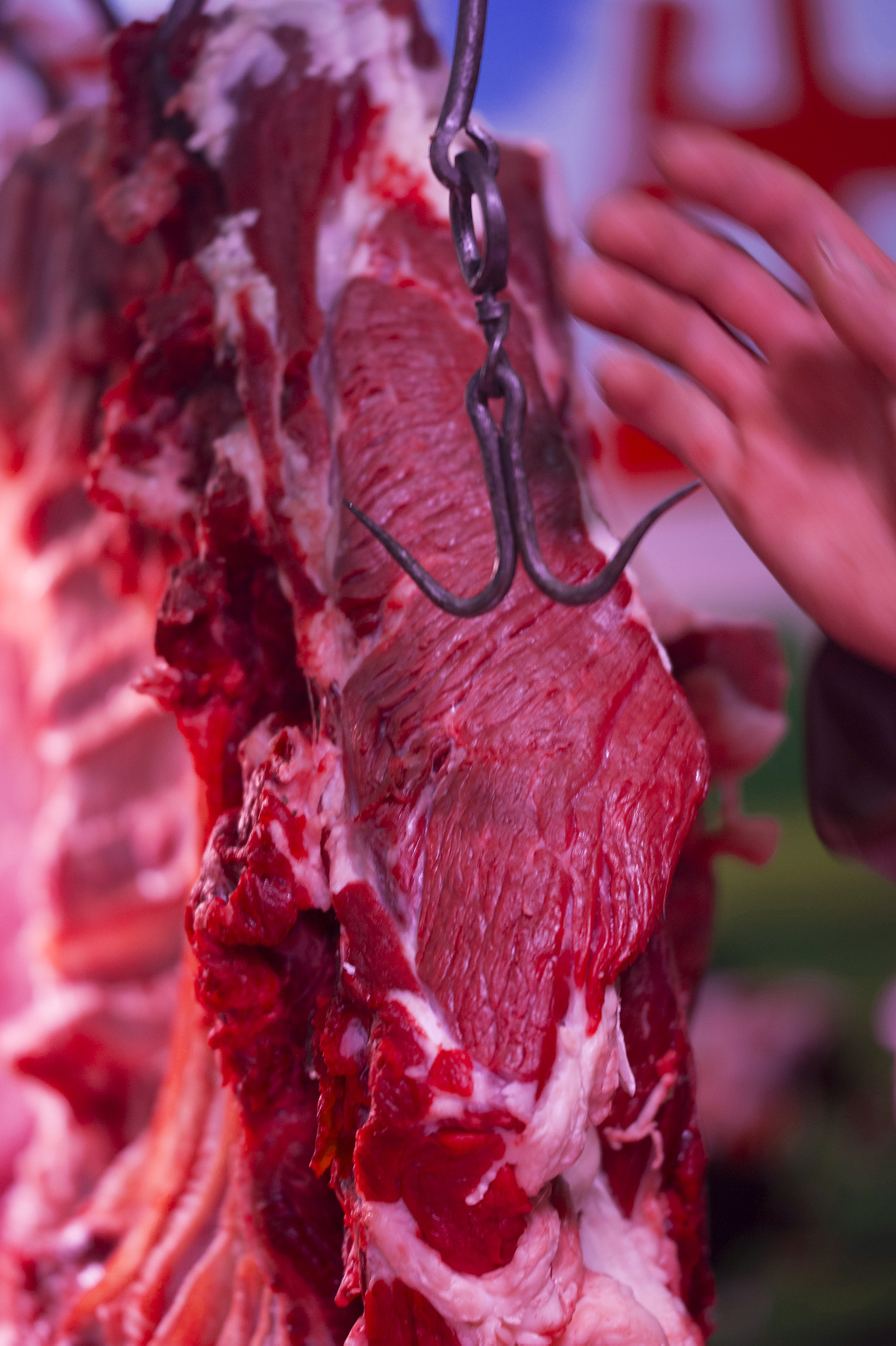 Sigma 150mm f/2.8 EX DG OS HSM APO Macro sample photo. Meat photography