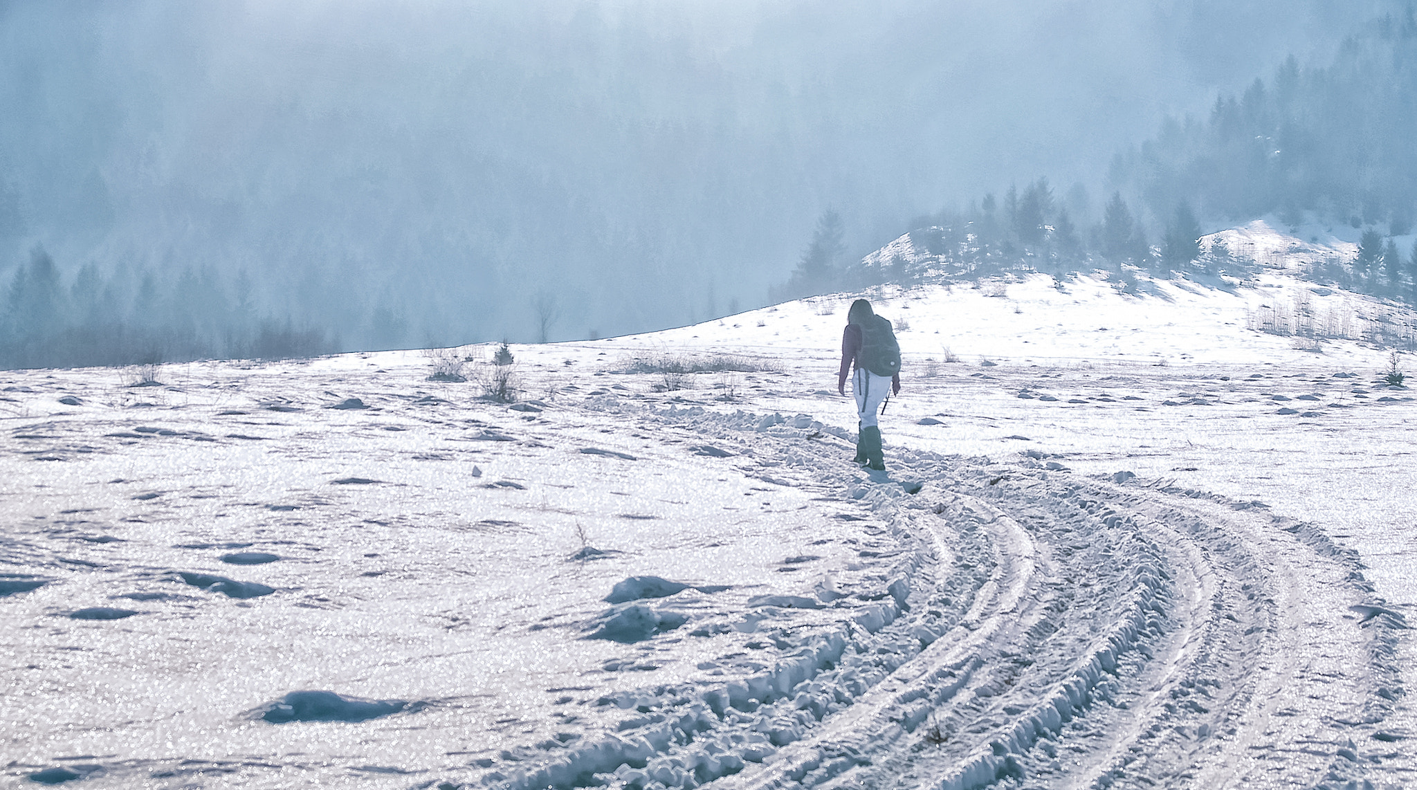 Sigma SD15 sample photo. Winter hiking 1 photography