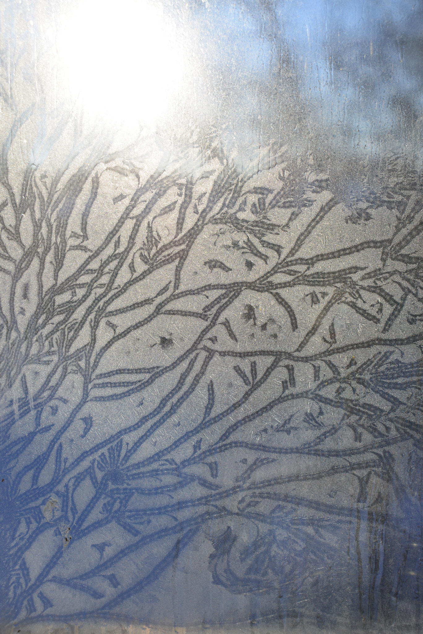 AF Zoom-Nikkor 24-120mm f/3.5-5.6D IF sample photo. Frost on the window photography
