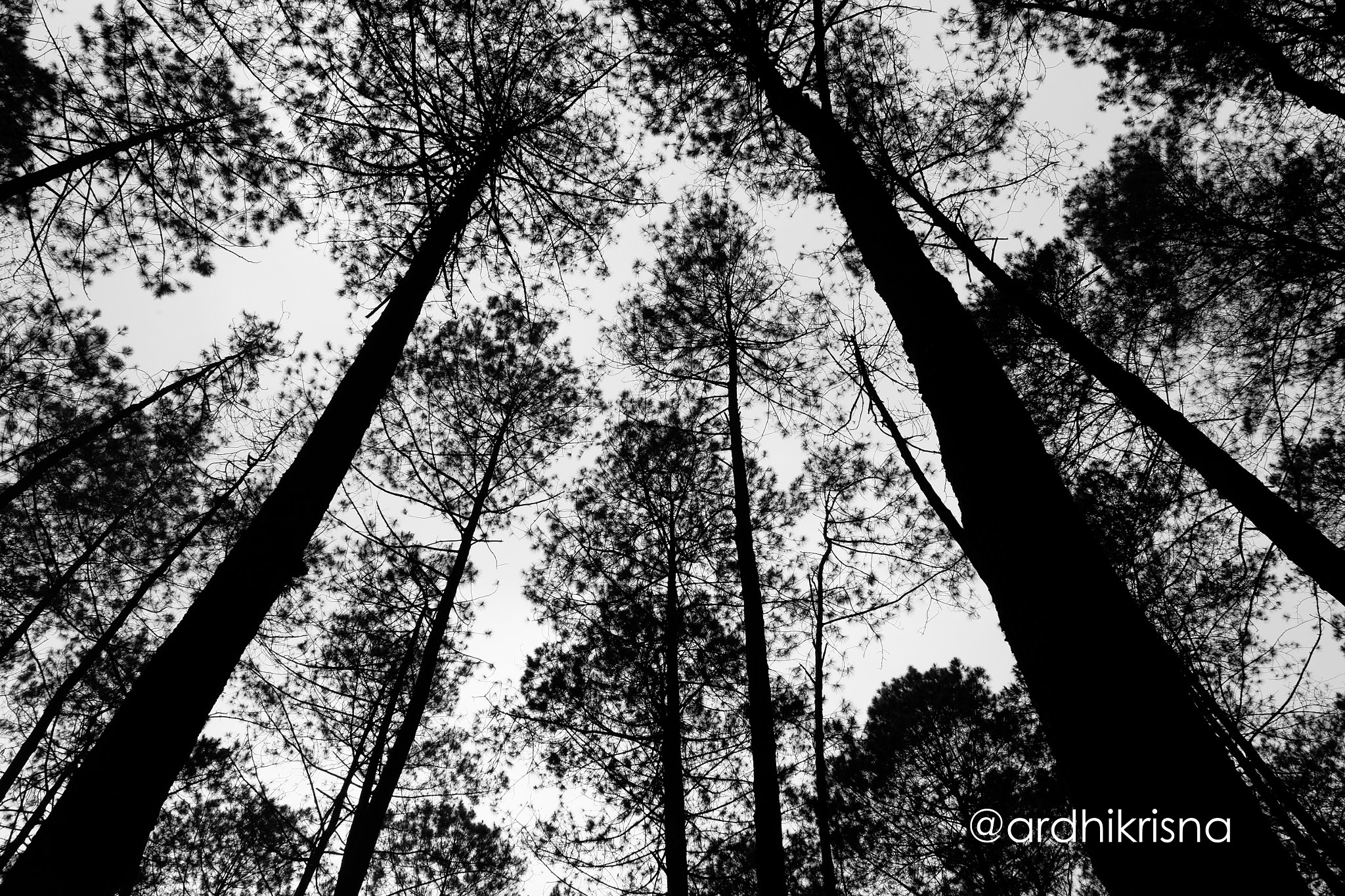 Fujifilm XC 16-50mm F3.5-5.6 OIS sample photo. Dsf photography