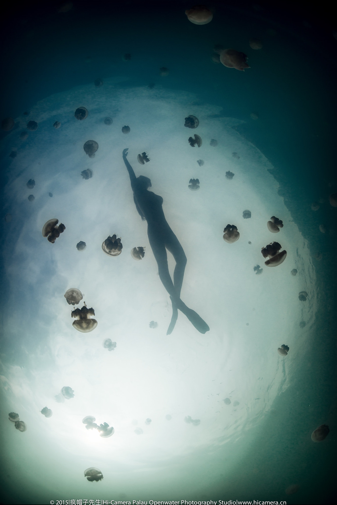 Nikon D800 + Nikon AF Fisheye-Nikkor 16mm F2.8D sample photo. Jellyfish lake in palau photography