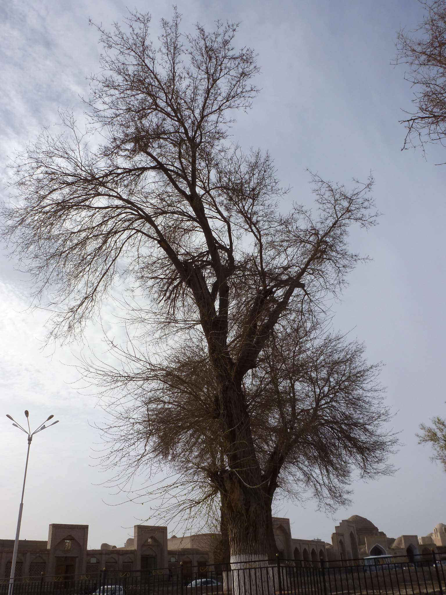 Panasonic Lumix DMC-ZS8 (Lumix DMC-TZ18) sample photo. Around bukhara photography