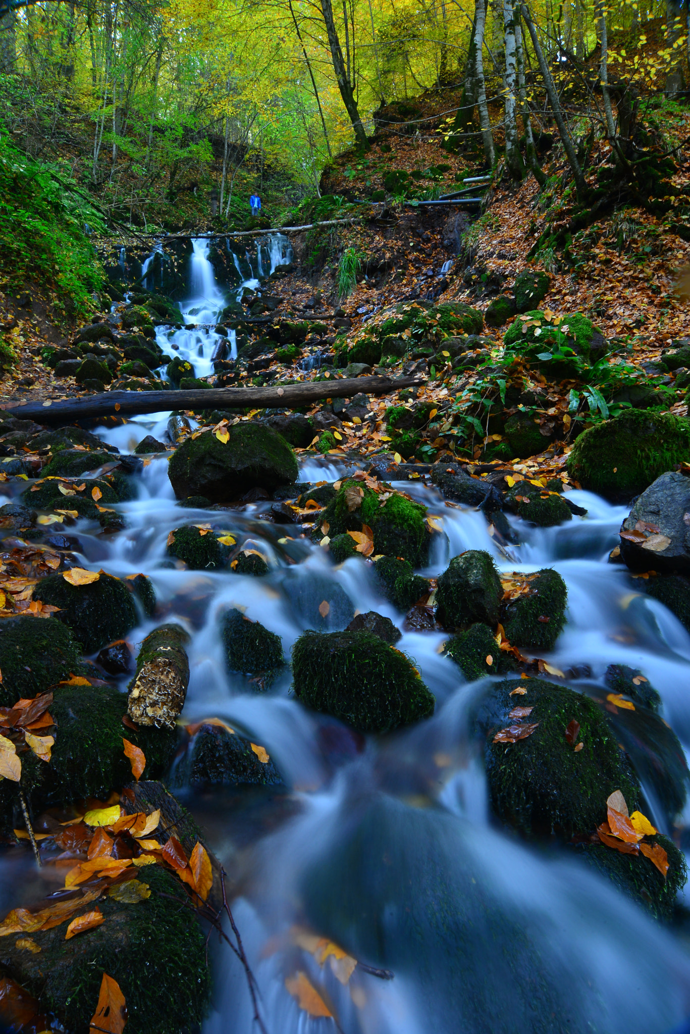 Nikon AF Nikkor 24-85mm F2.8-4D IF sample photo