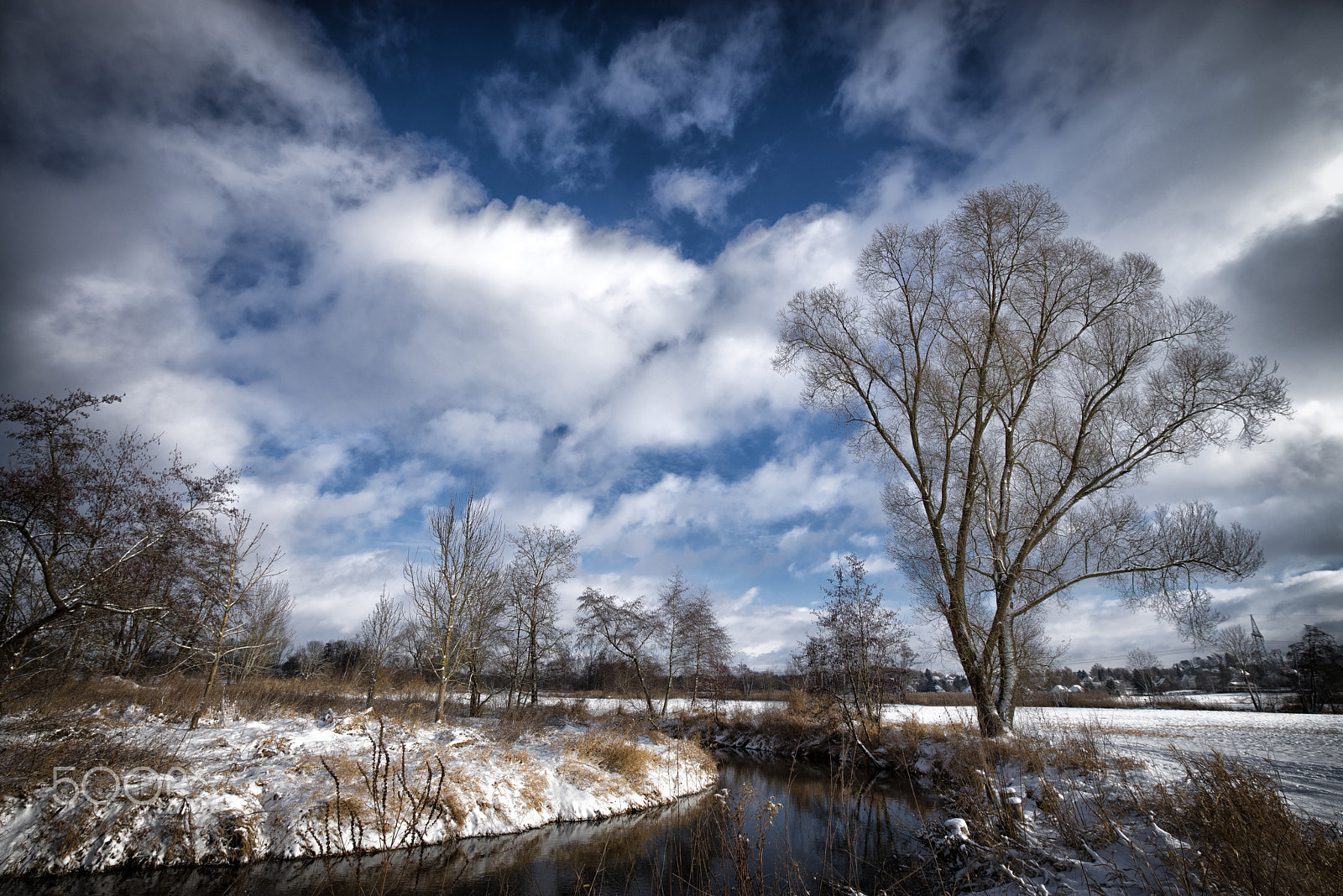 Sony a7R sample photo. Sunny winterday photography