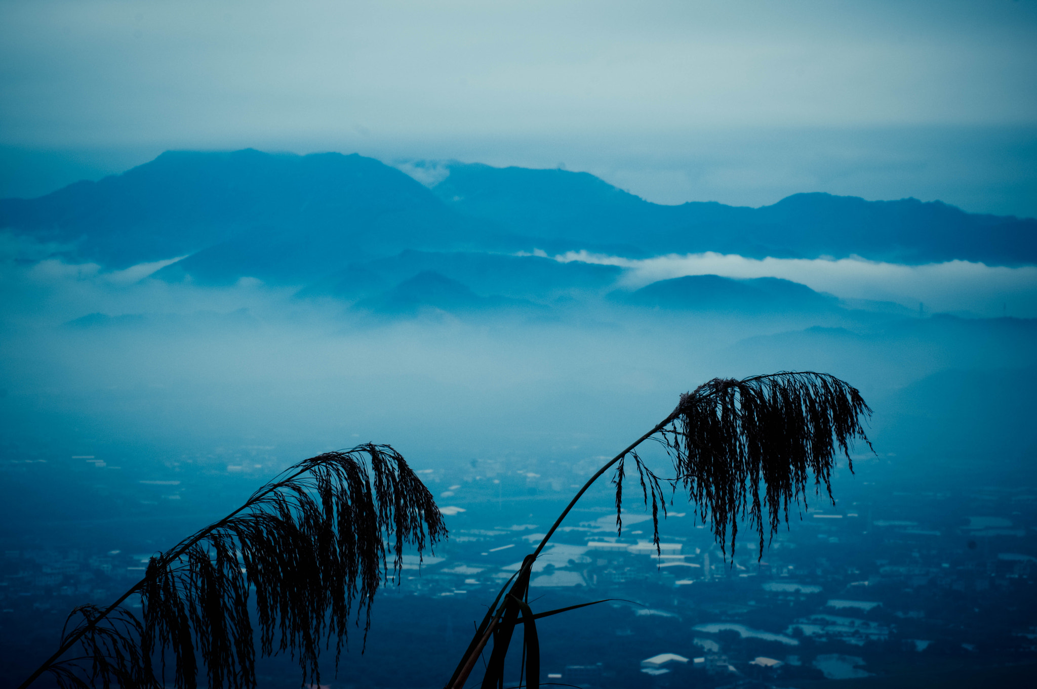 Pentax K-3 + Pentax smc FA 50mm F1.4 sample photo. Dawn photography