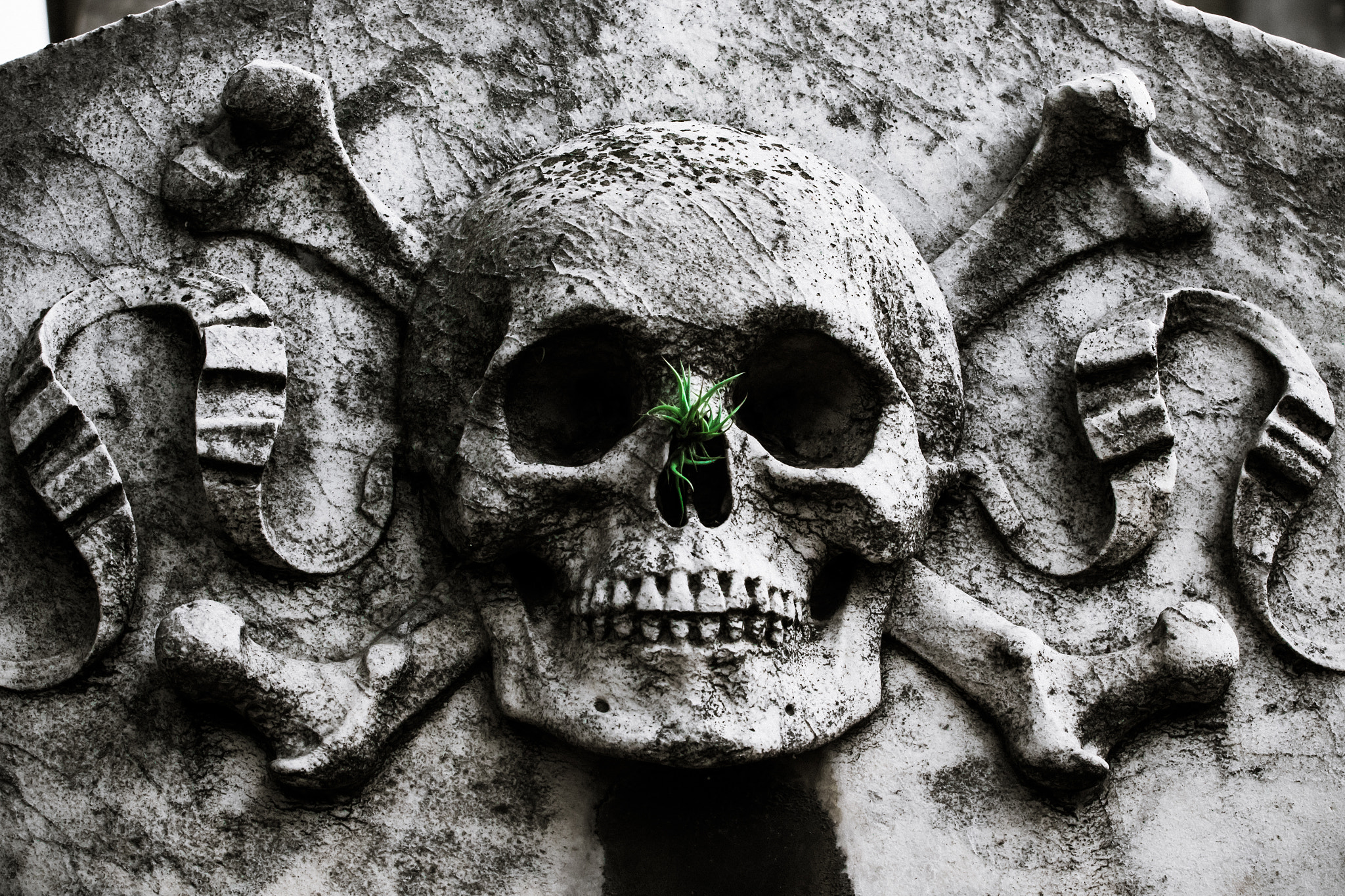 Canon EF 70-200mm F4L USM sample photo. Bad to the bones photography