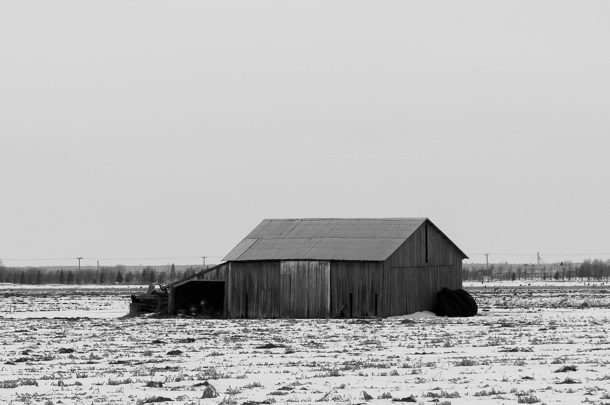 AF Zoom-Nikkor 80-200mm f/2.8 ED sample photo. Barn photography