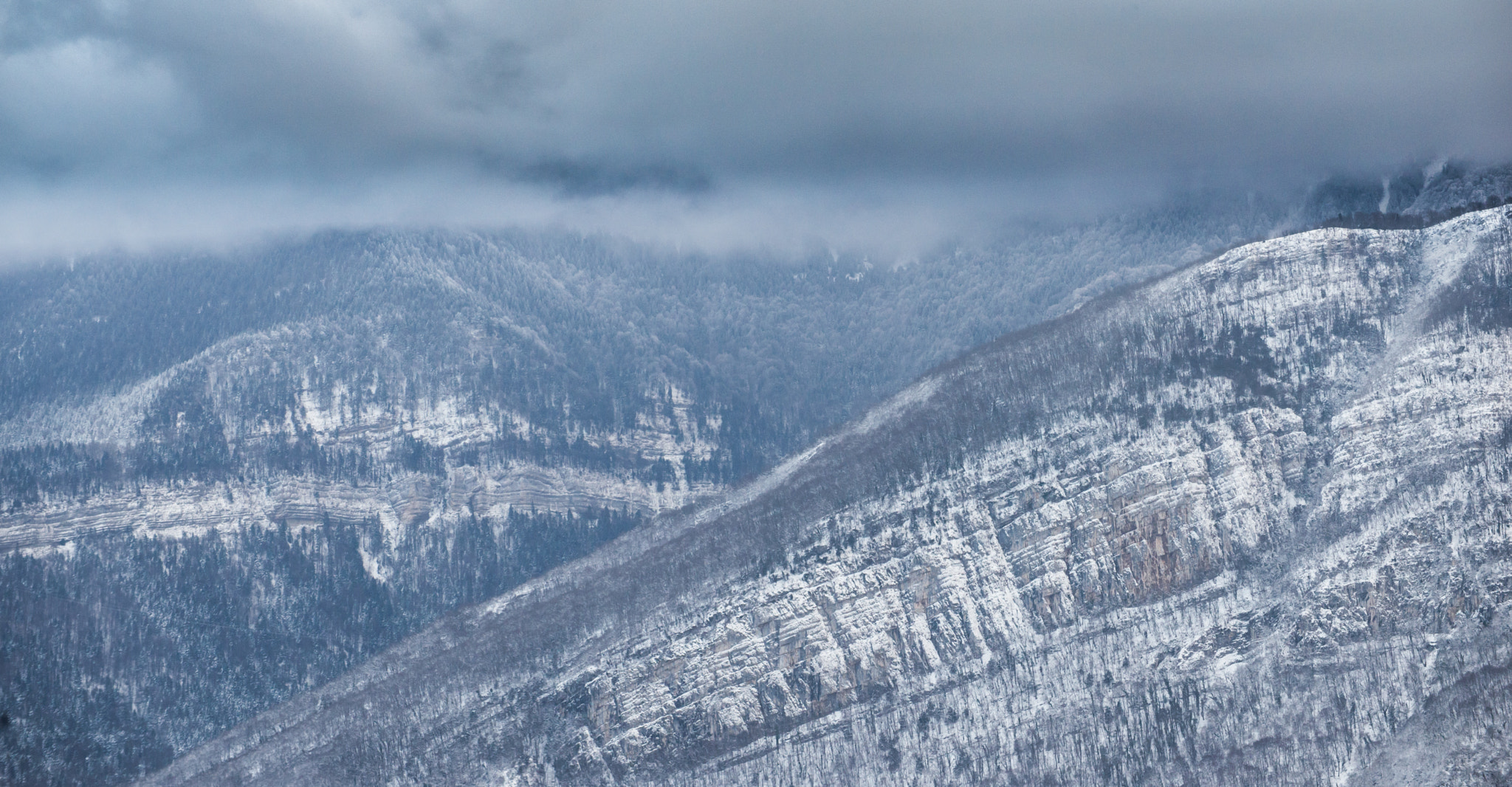 Nikon D600 sample photo. Frozen day photography