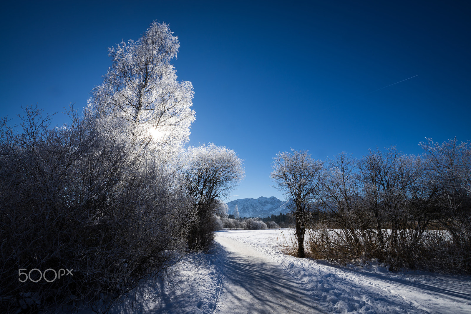 Sony a7R sample photo. Sunny winterday 2 photography