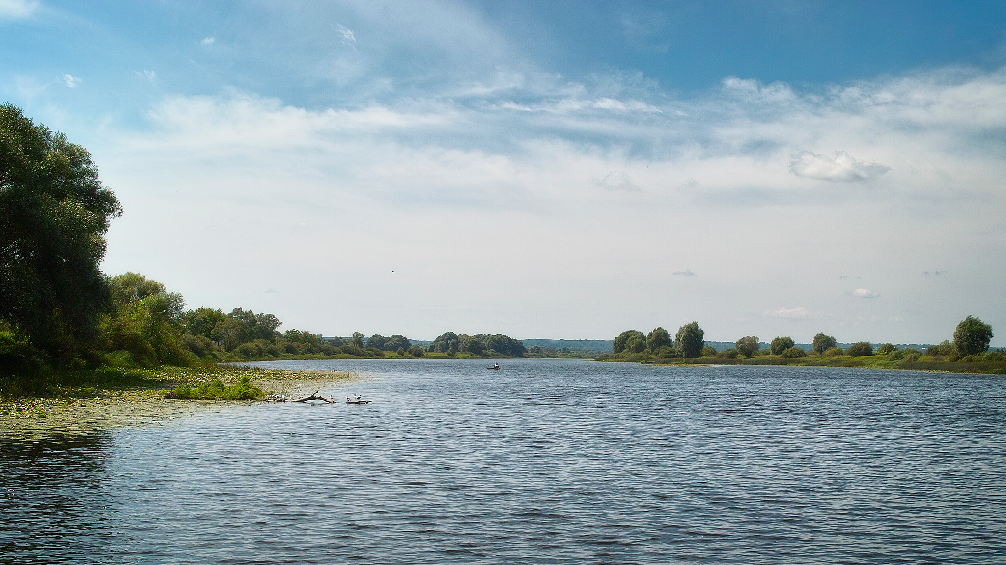 Sigma DP2 sample photo. Summer over the river. photography