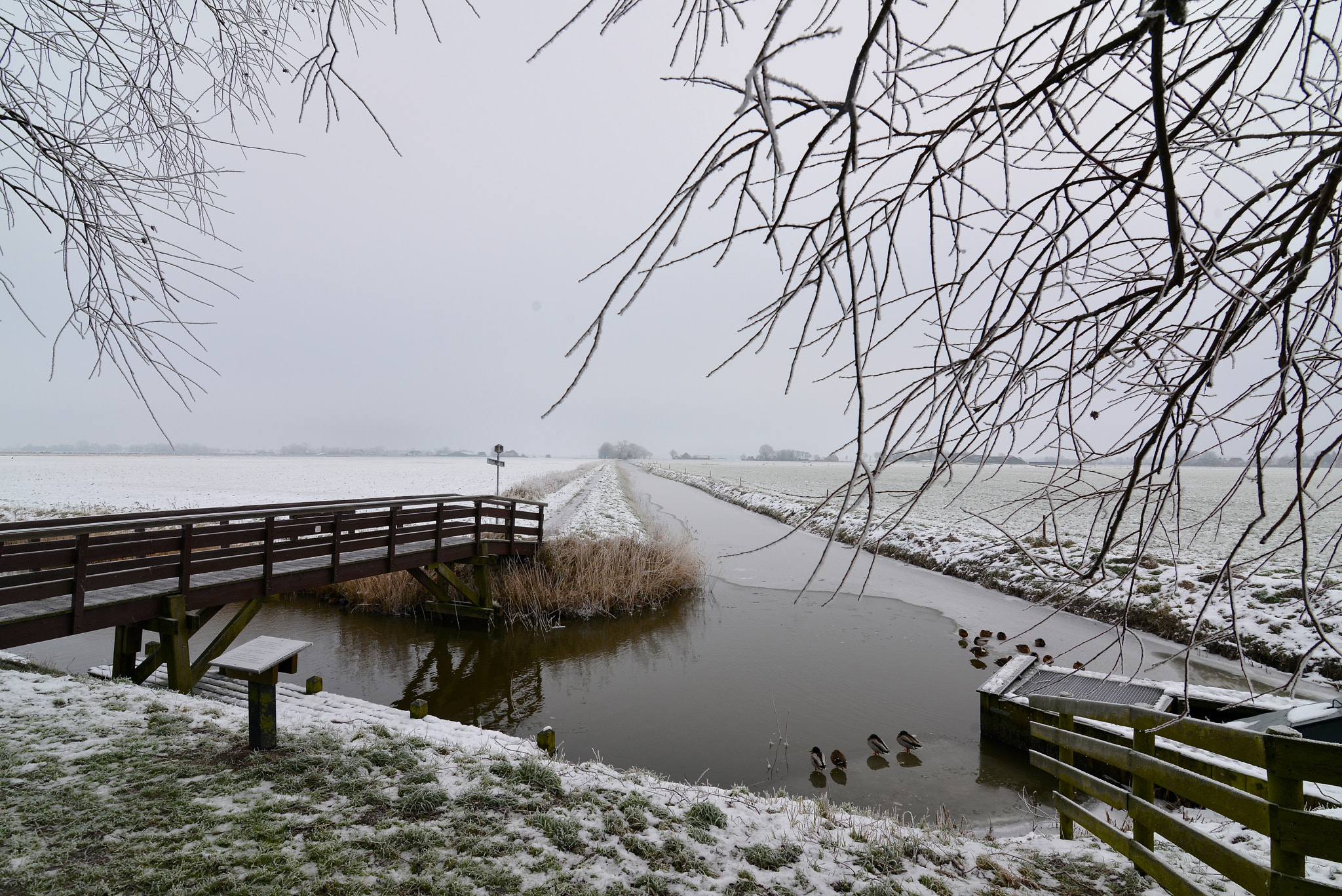 Nikon D800 sample photo. Winter cold photography