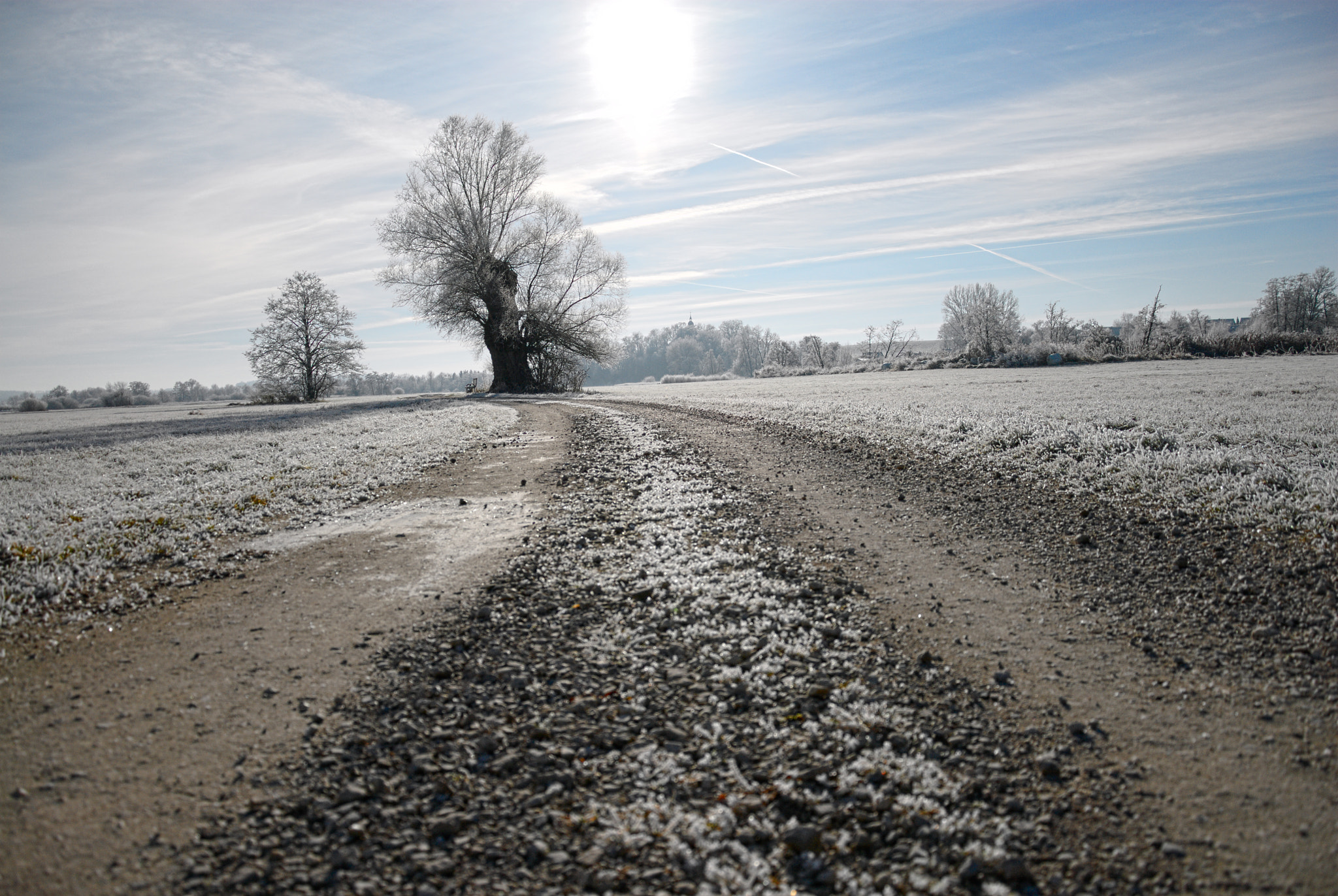Nikon D200 sample photo. Wintermorning photography