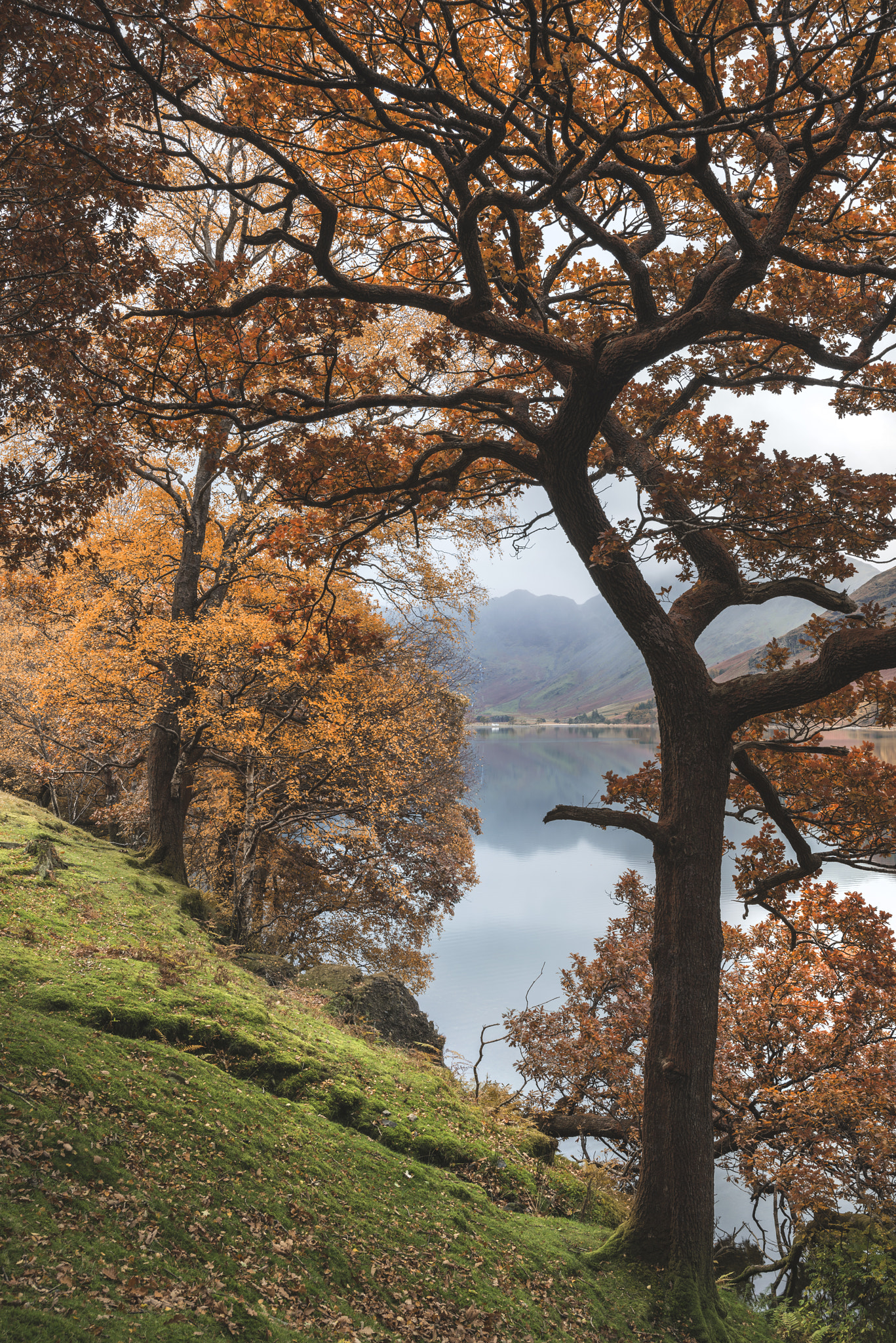 Nikon AF-S Nikkor 18-35mm F3.5-4.5G ED sample photo. Beautiful autumn fall landscape image of lake buttermere in lake photography
