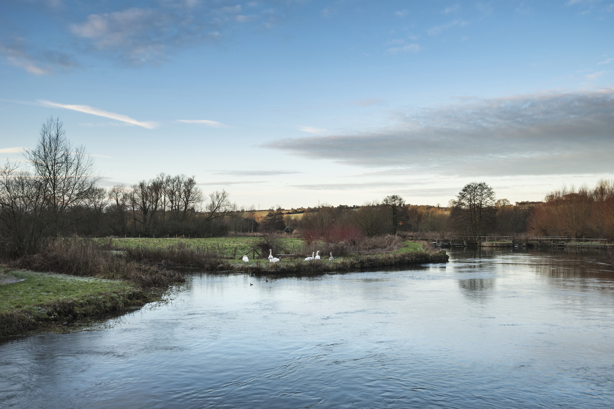Nikon AF-S Nikkor 18-35mm F3.5-4.5G ED sample photo. Swans on riverbank during beautiful frosty winter sunrise landsc photography