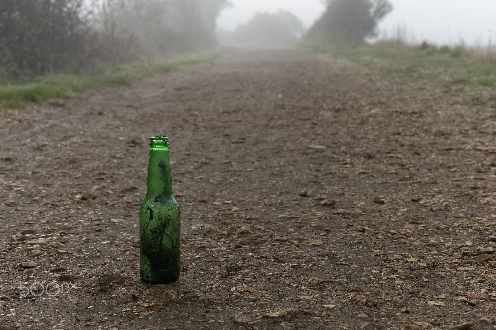 Sony a99 II sample photo. One green bottle.... photography