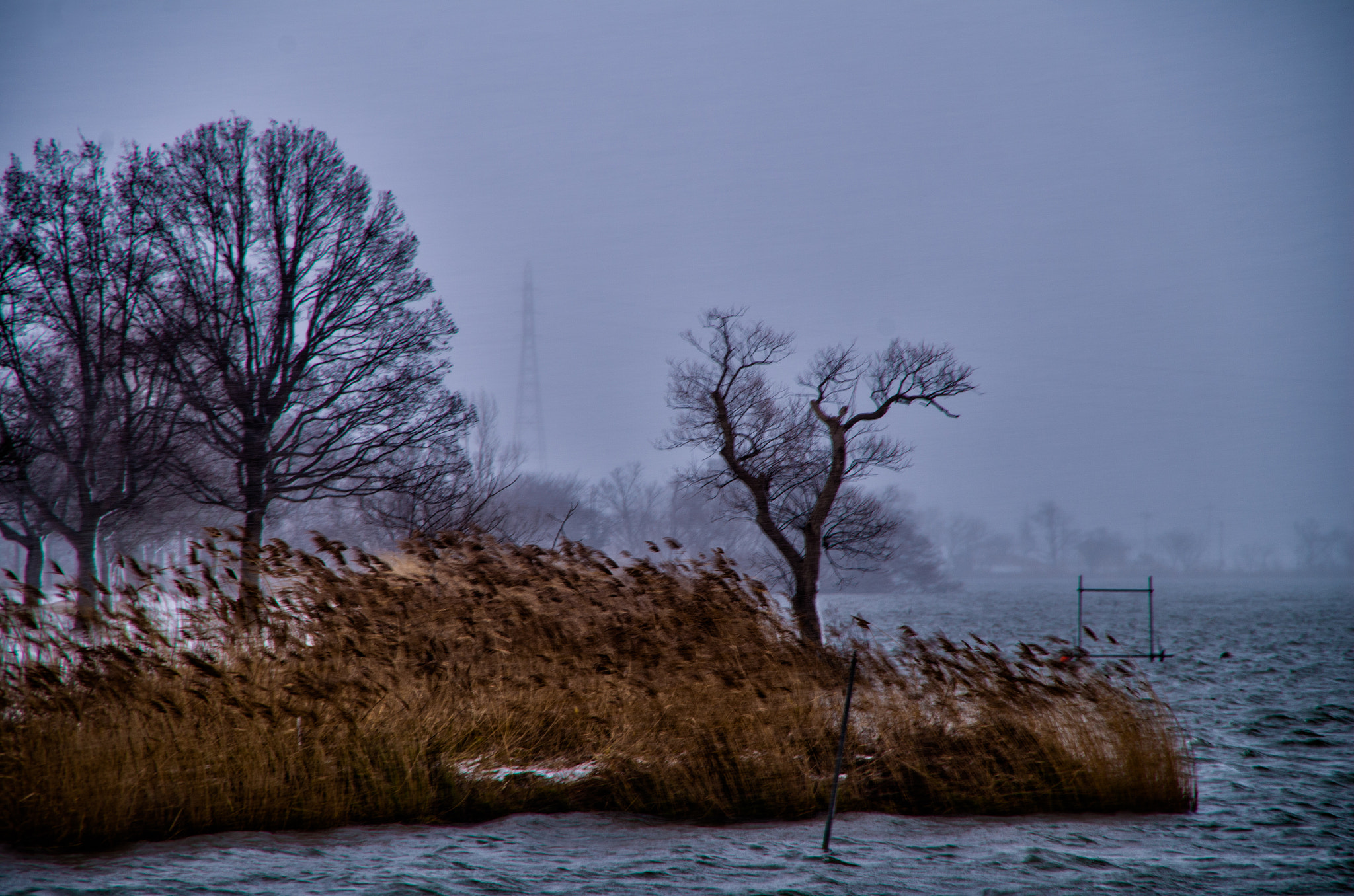 Pentax K-50 sample photo. Edit edit photography