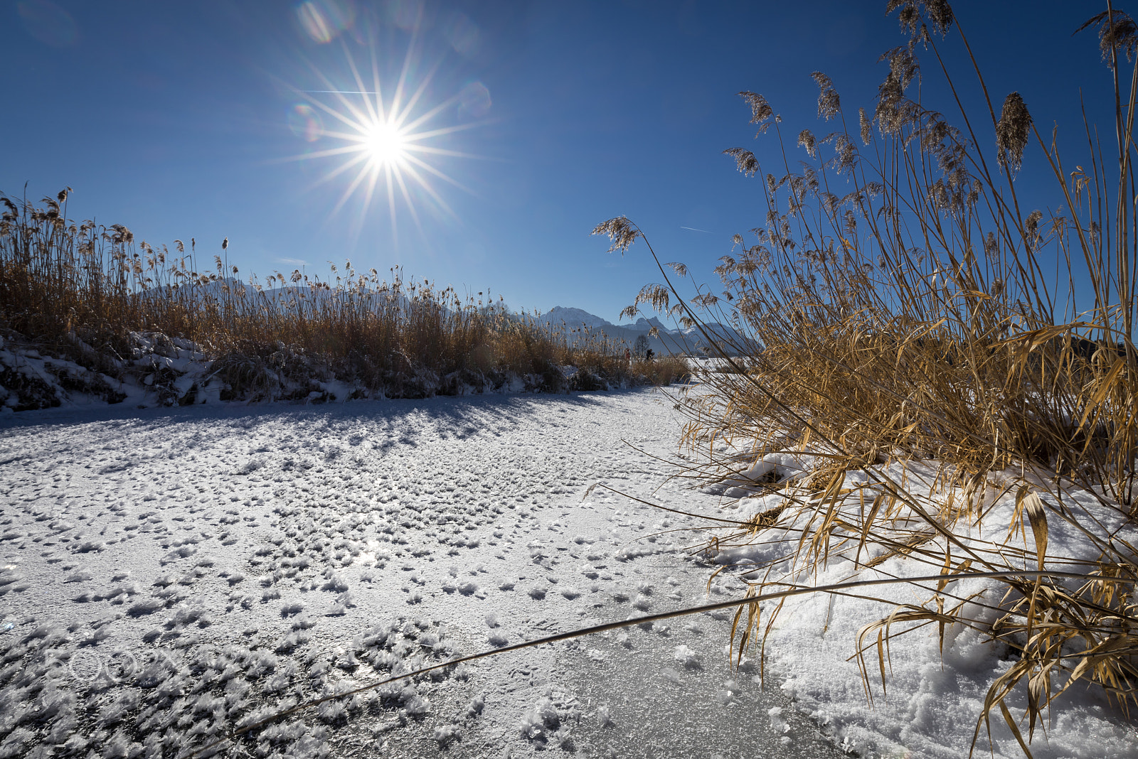 Sony a7R sample photo. Frozen creek photography