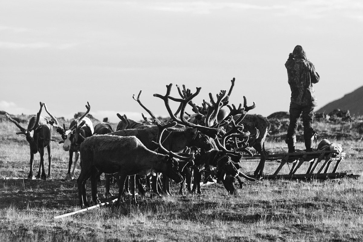 Nikon D300S sample photo. One day in the tundra photography