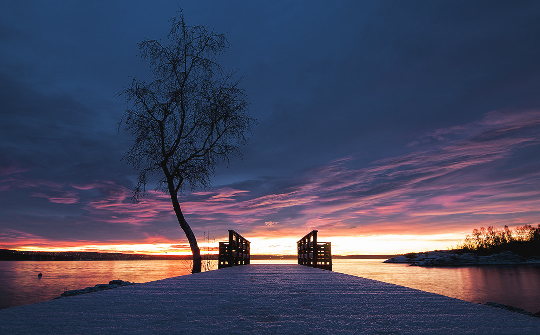 Sigma 20mm F1.4 DG HSM Art sample photo. Sunrise photography