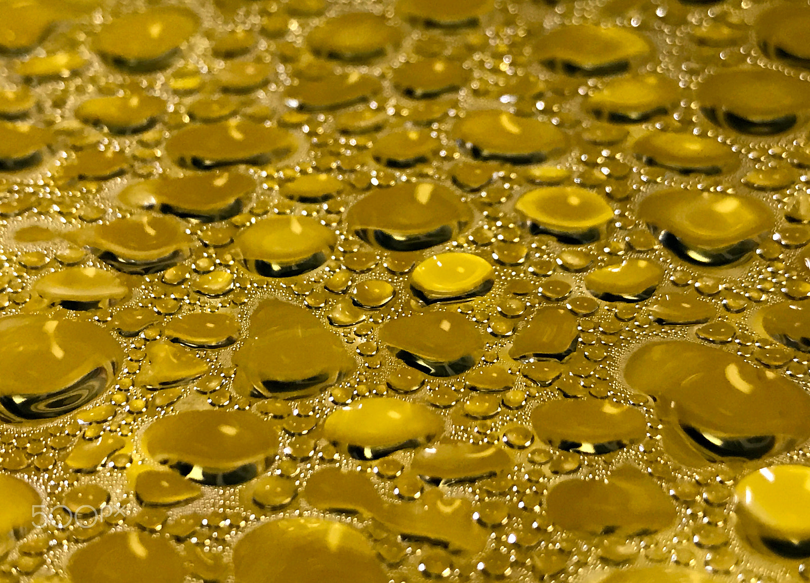 Apple iPhone 7 Plus sample photo. Golden drops photography