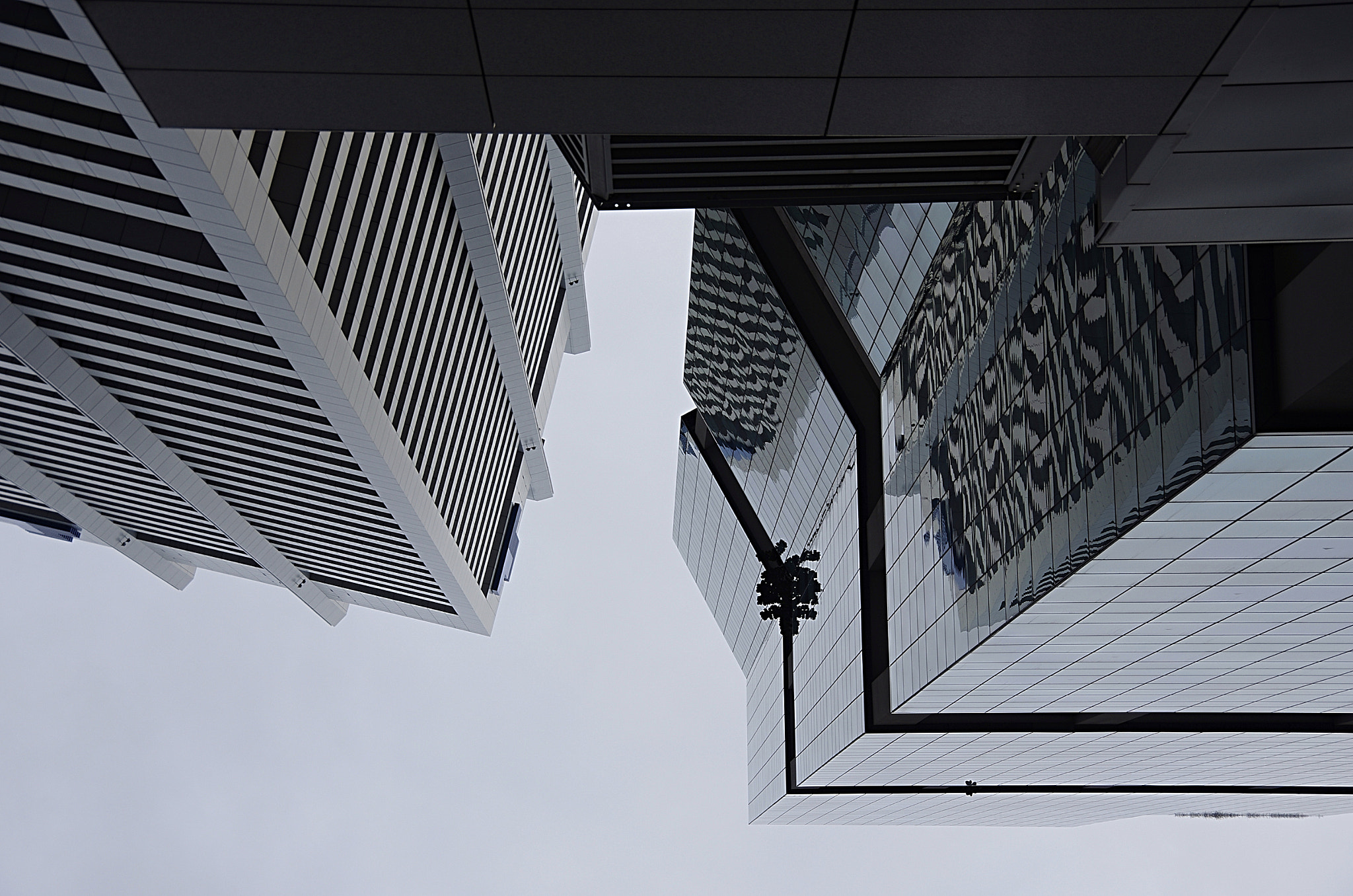 Pentax K-5 sample photo. Up, up and away photography