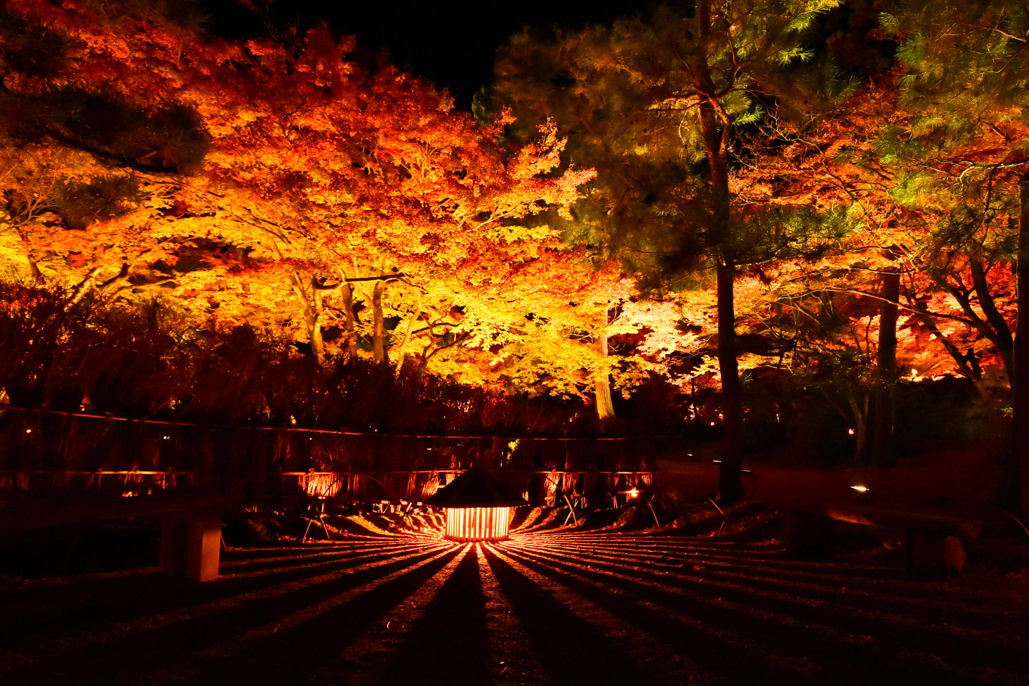 Nikon D5500 sample photo. Special night viewing, hogonin, kyoto photography