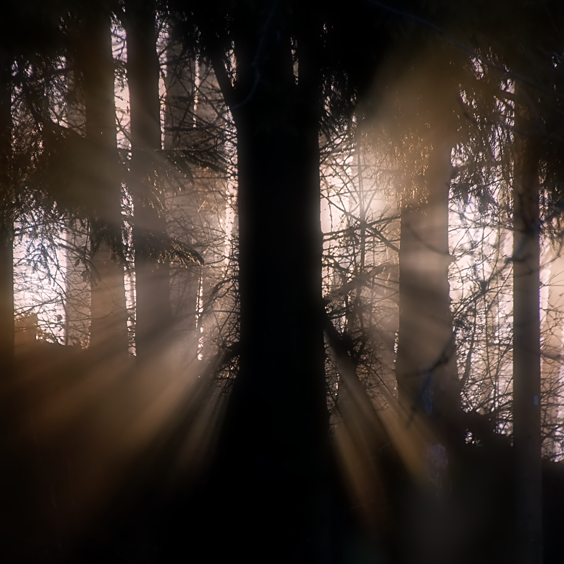 Nikon D40 sample photo. Sun beams photography
