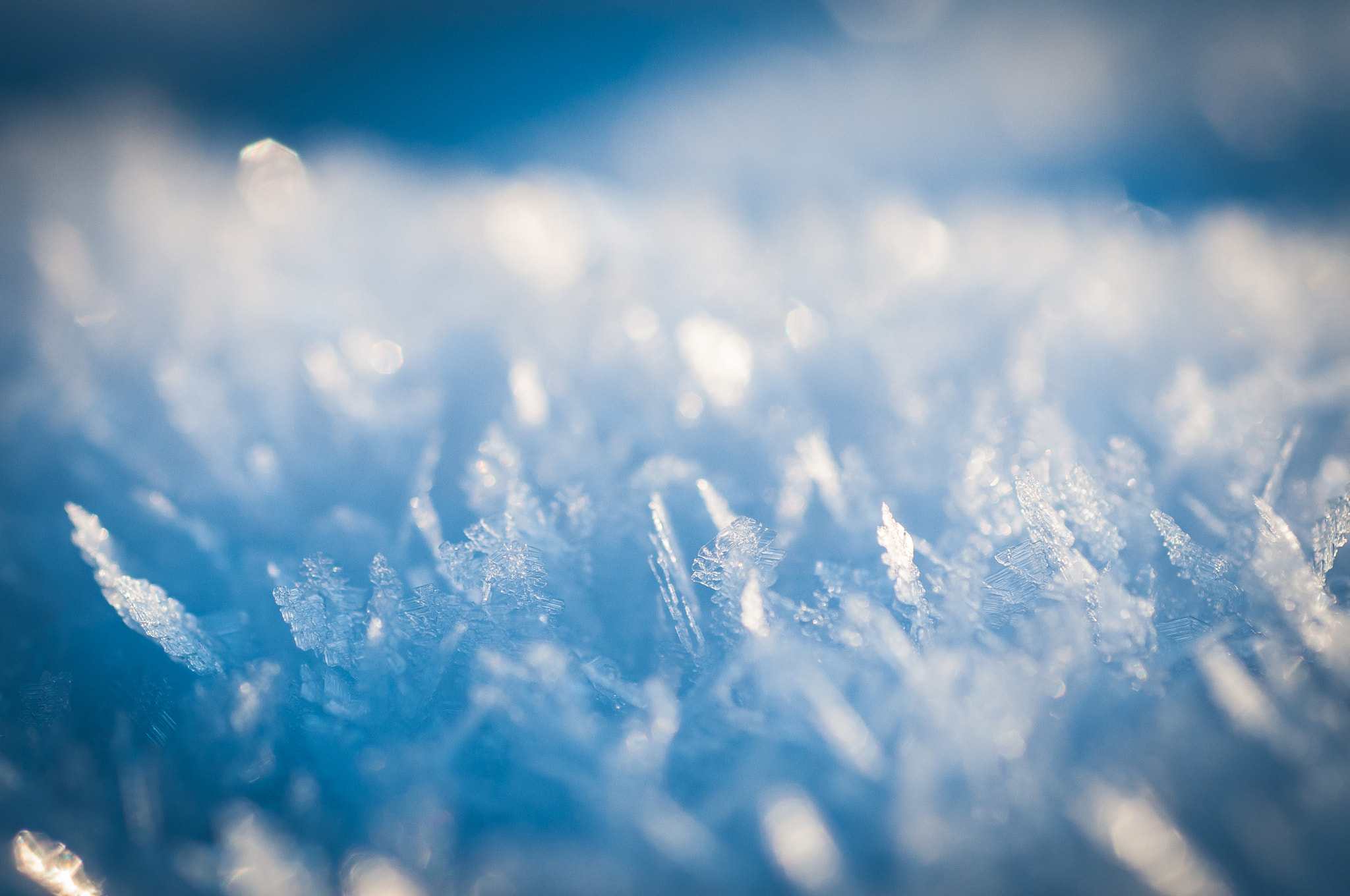 Nikon D300 sample photo. Eis und schnee / ice & snow photography