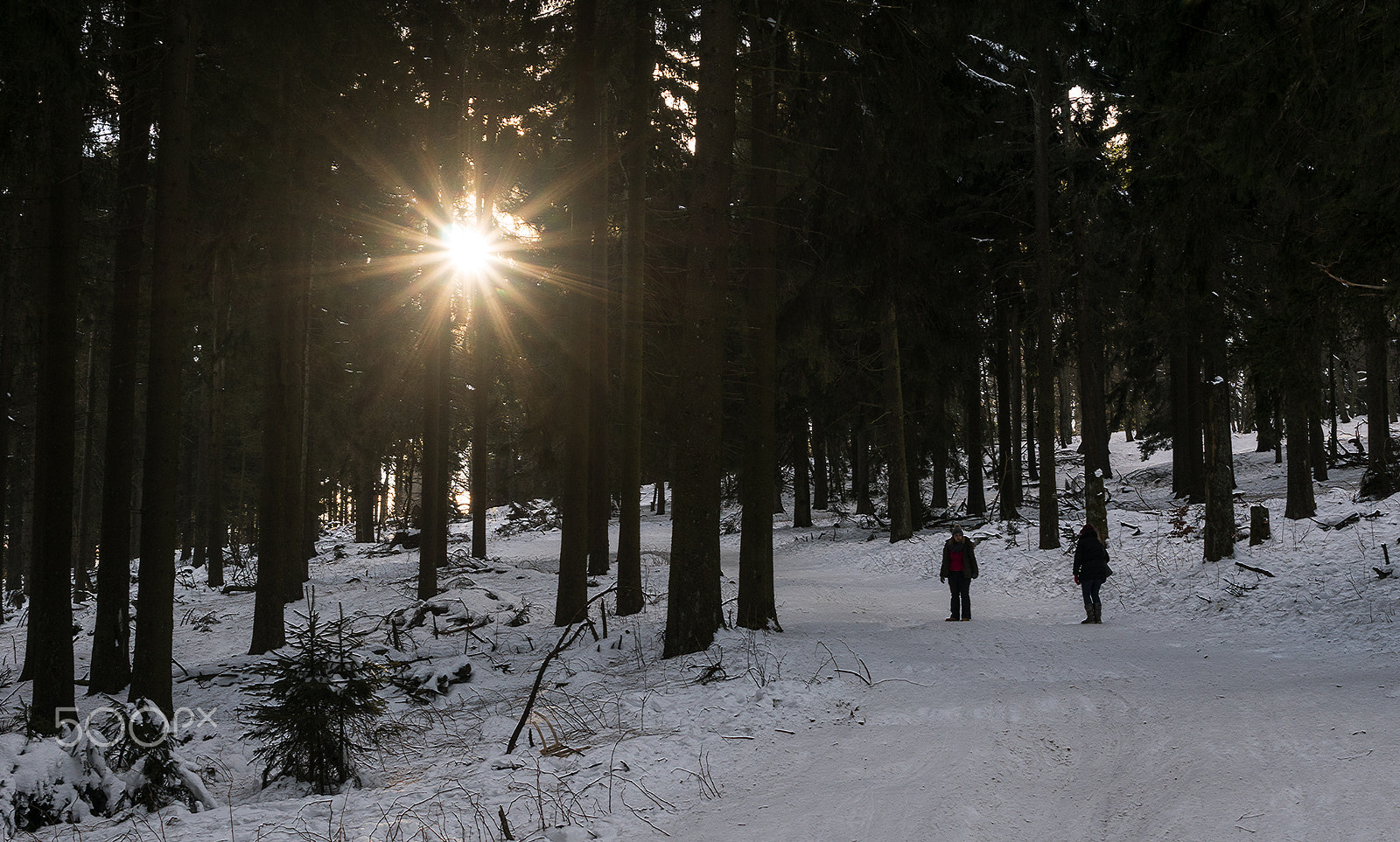Sony ILCA-77M2 + Sony DT 35mm F1.8 SAM sample photo. Winter´s sun photography