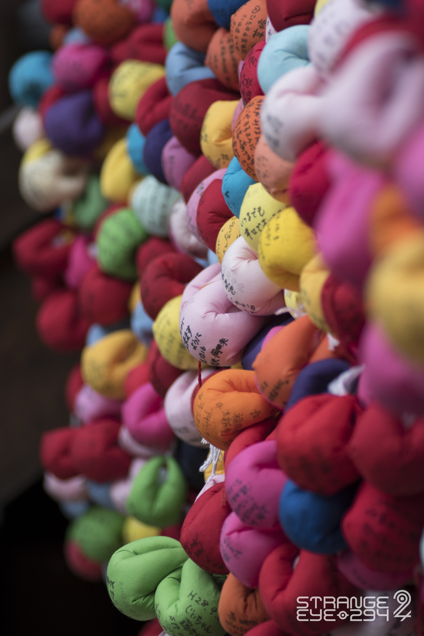 Nikon D5500 sample photo. Color-full photography