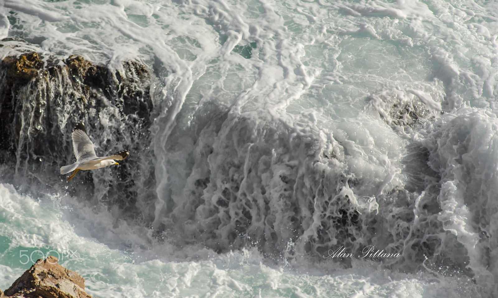 AF Zoom-Nikkor 80-200mm f/2.8 ED sample photo. Envied freedom photography