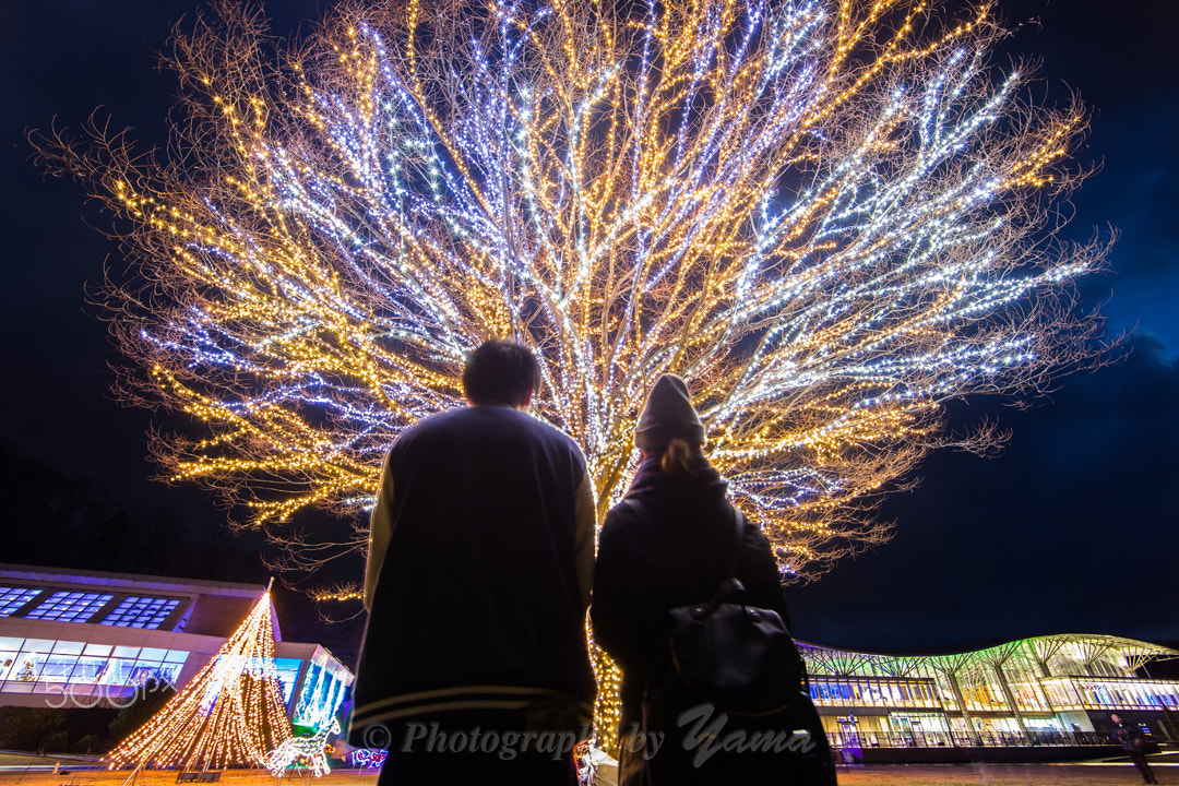 Canon EOS 6D + Canon EF 14mm F2.8L II USM sample photo. Christmas lights photography