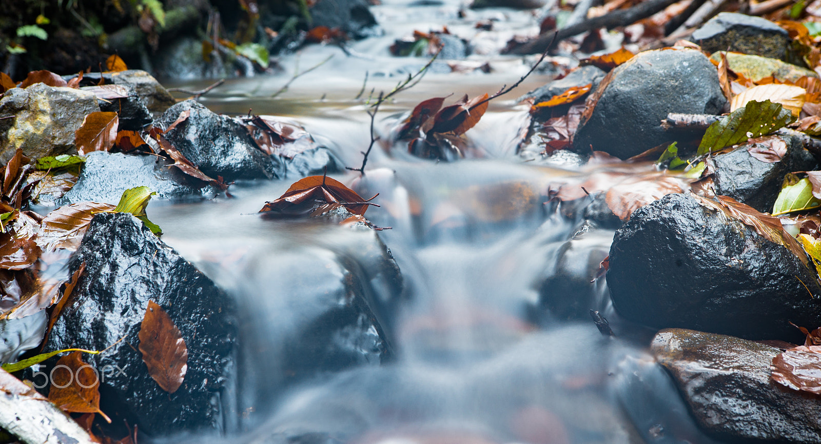 Sony a7S II + Sony DT 50mm F1.8 SAM sample photo. A river in the forest photography