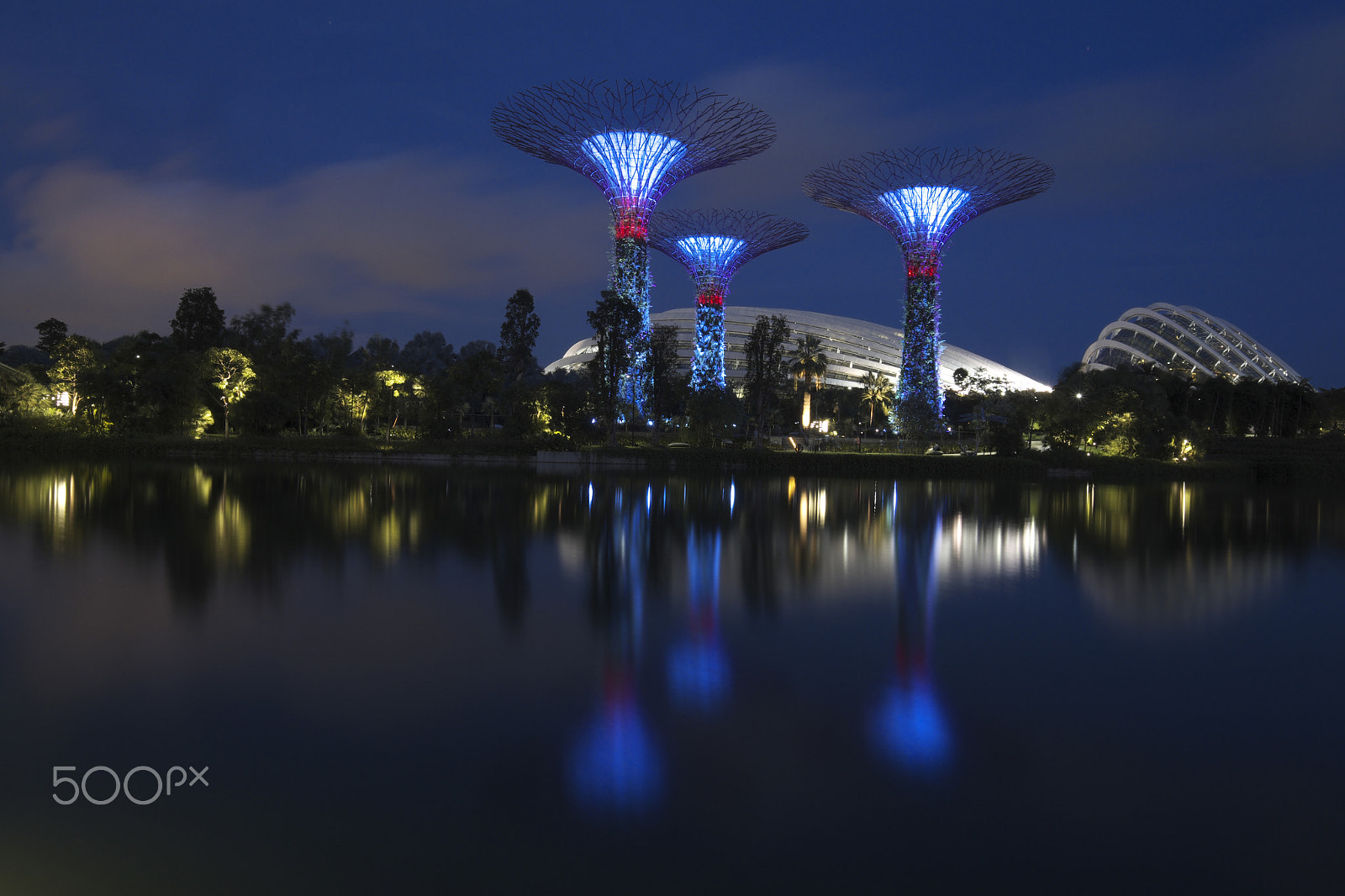 Fujifilm XF 10-24mm F4 R OIS sample photo. Garden by the bay photography