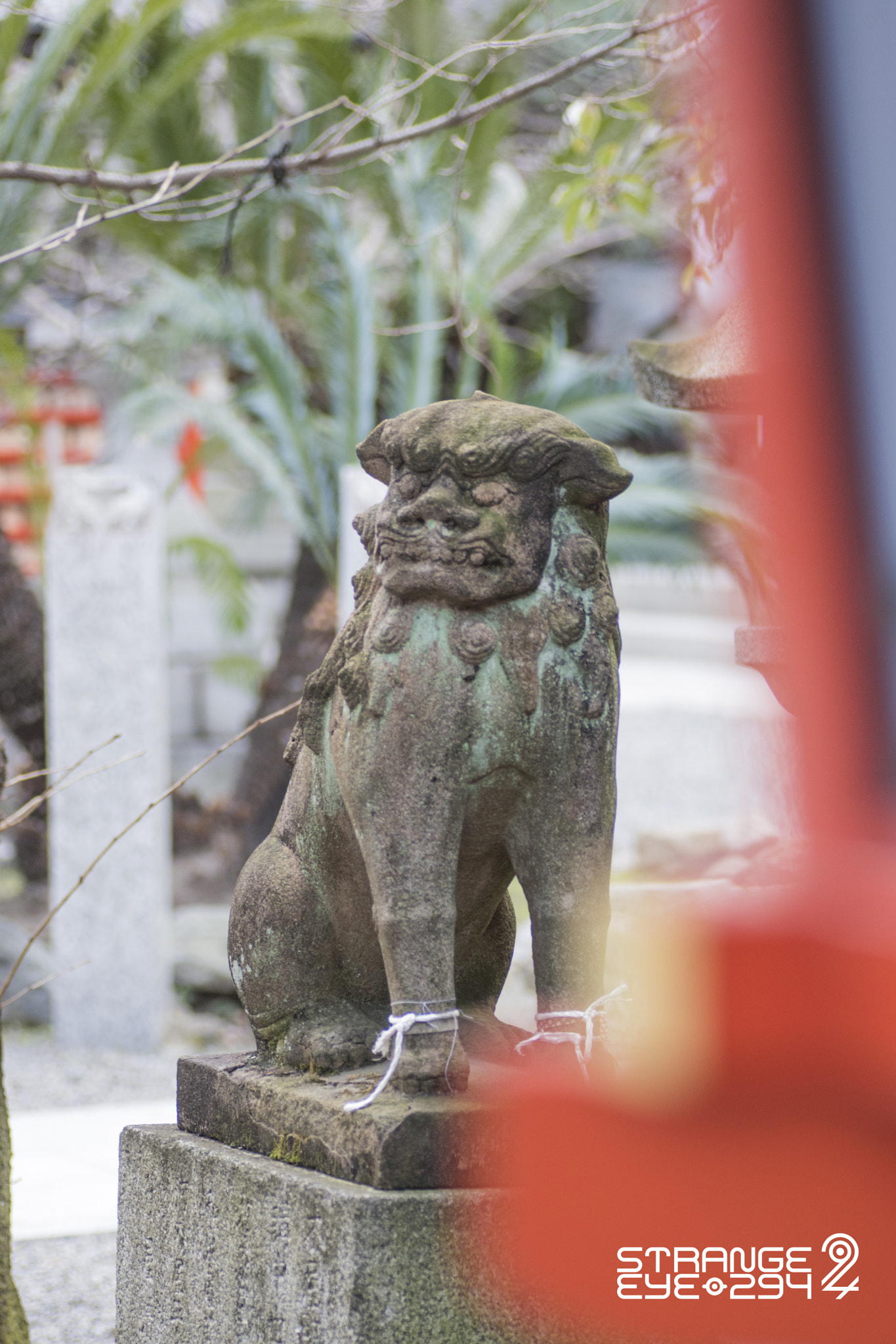 Nikon D5500 sample photo. Guardian dog photography