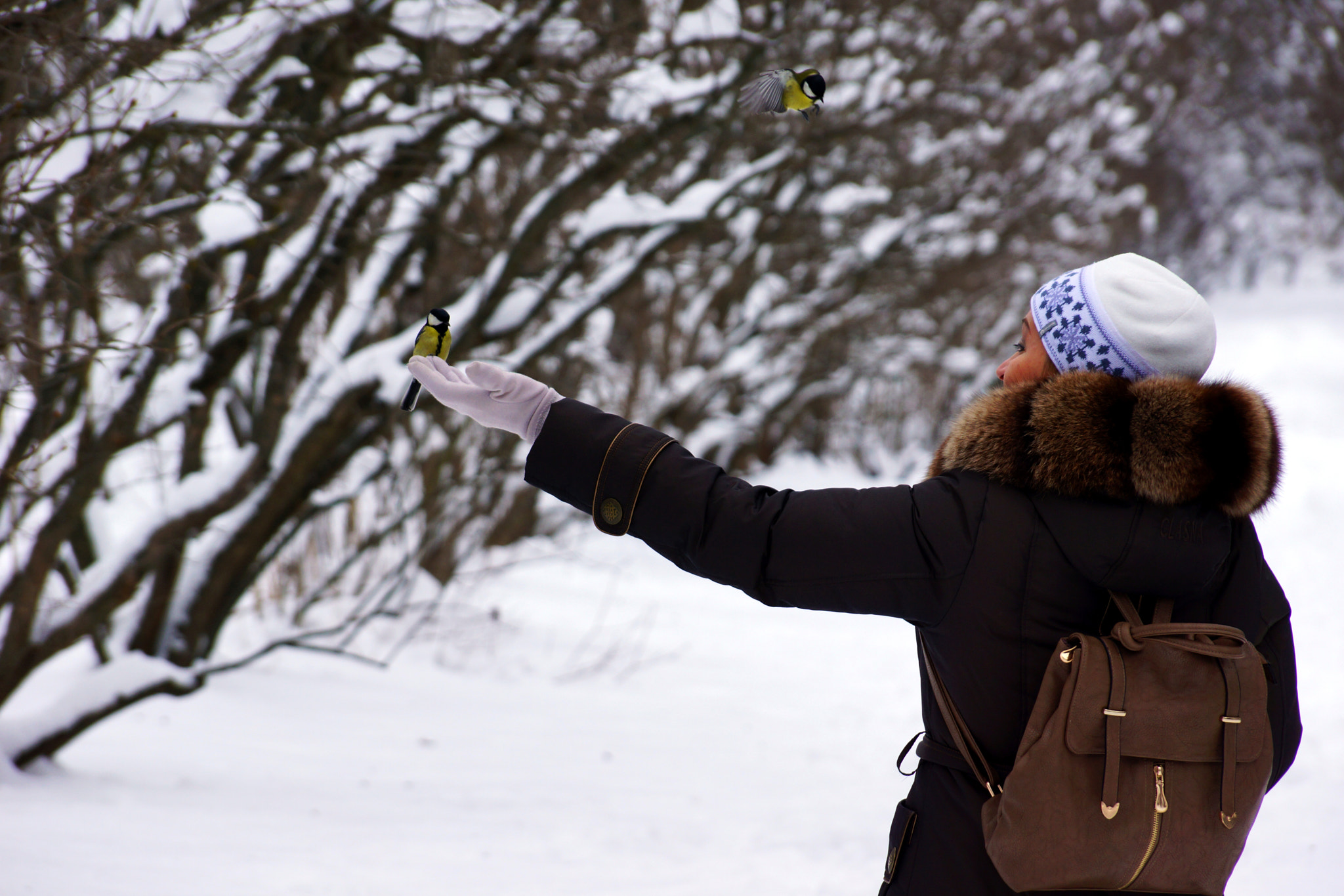 Sony SLT-A77 sample photo. A bird in the hand is worth two in the bush. photography