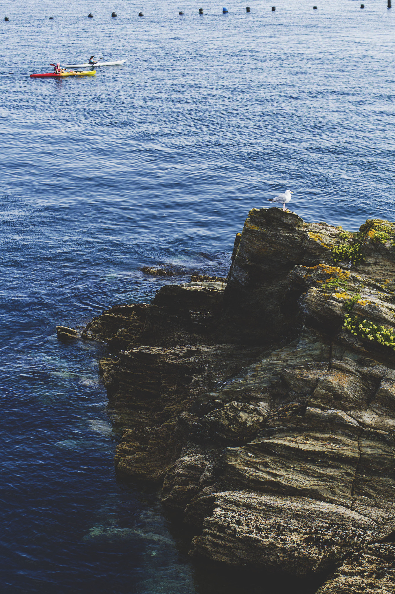 Canon EOS 60D + Canon EF 35mm F2 IS USM sample photo. Ile de groix photography